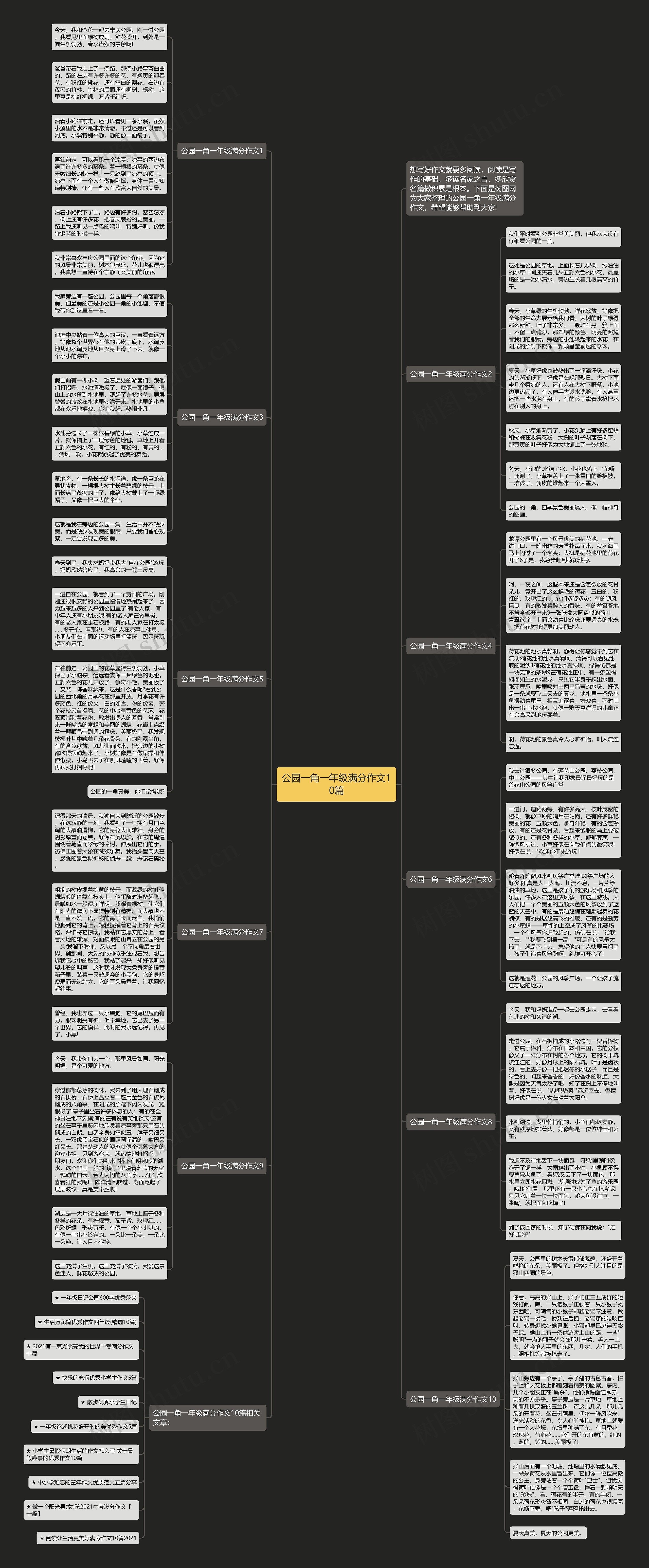 公园一角一年级满分作文10篇思维导图