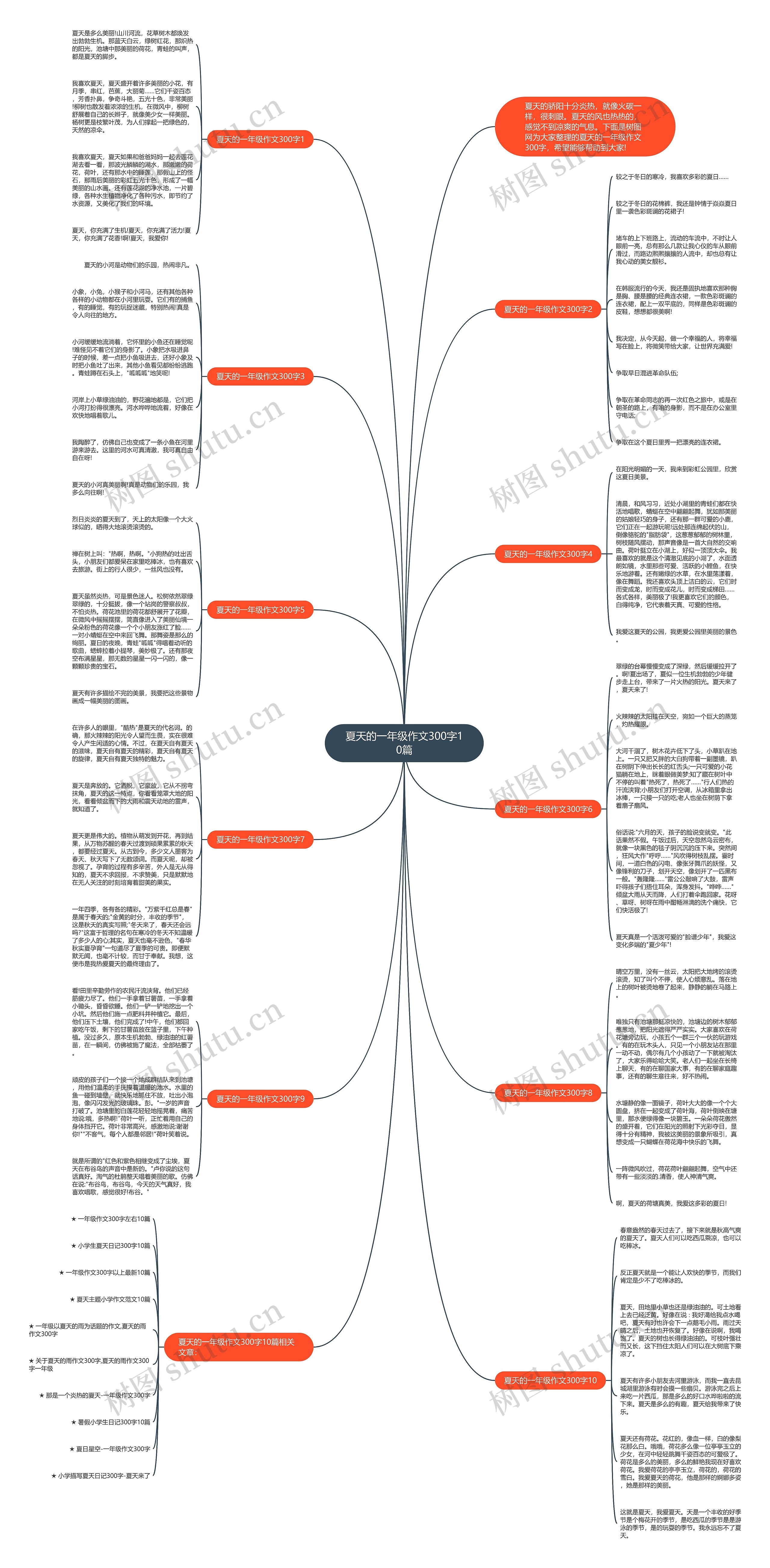 夏天的一年级作文300字10篇
