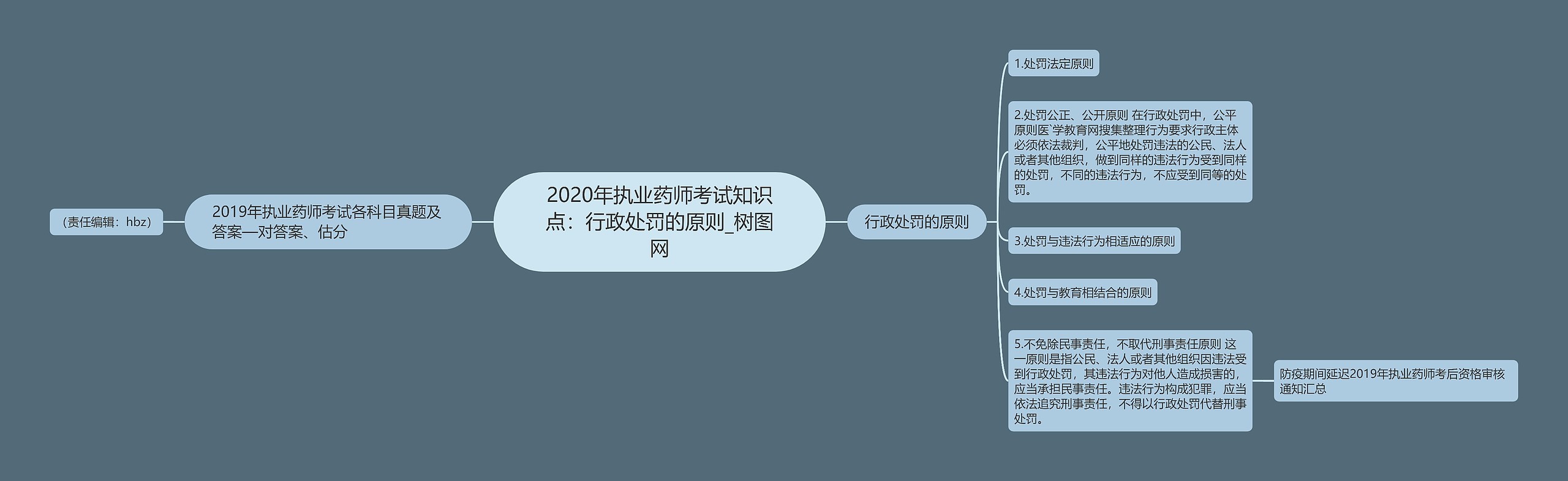 2020年执业药师考试知识点：行政处罚的原则