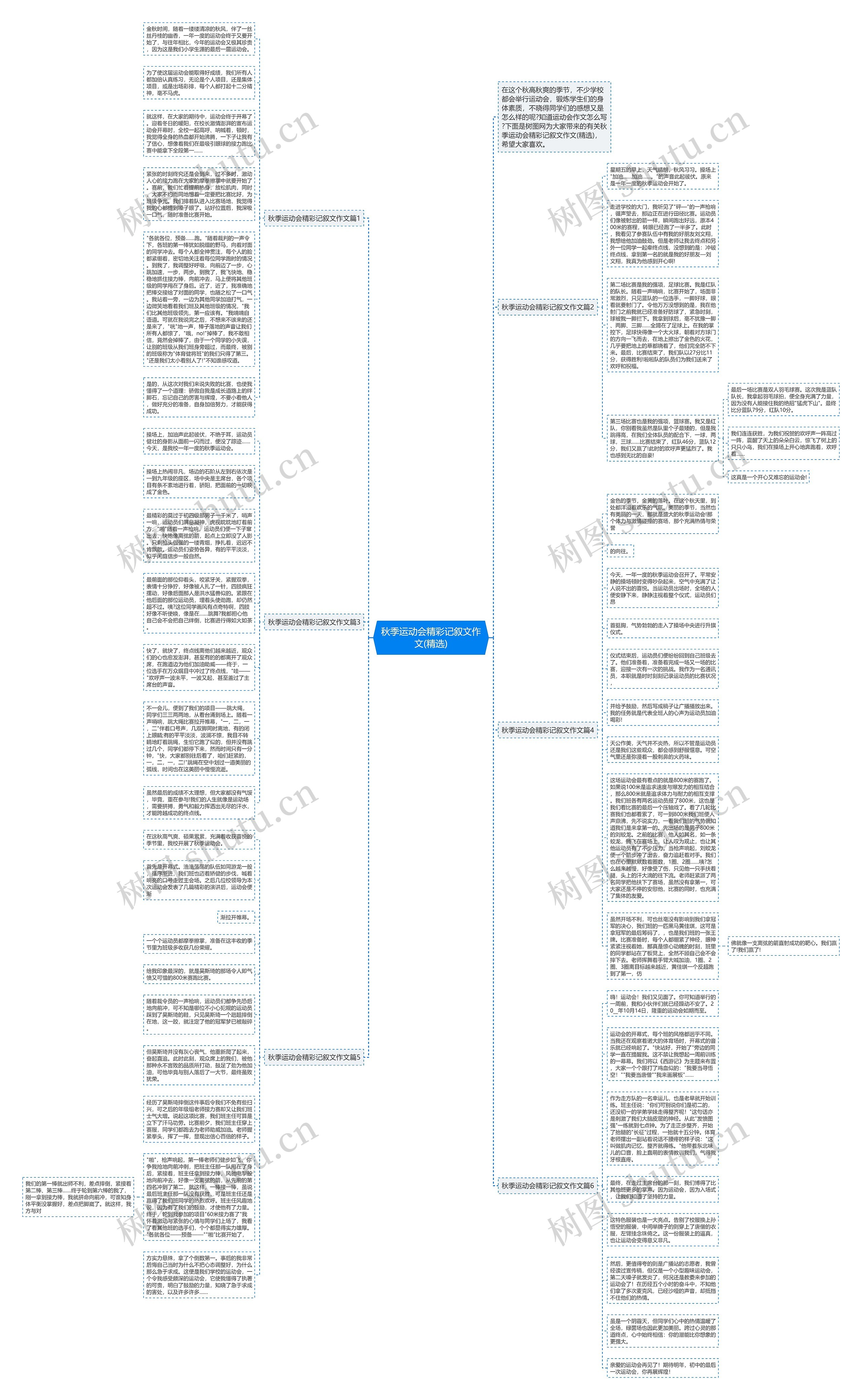 秋季运动会精彩记叙文作文(精选)思维导图