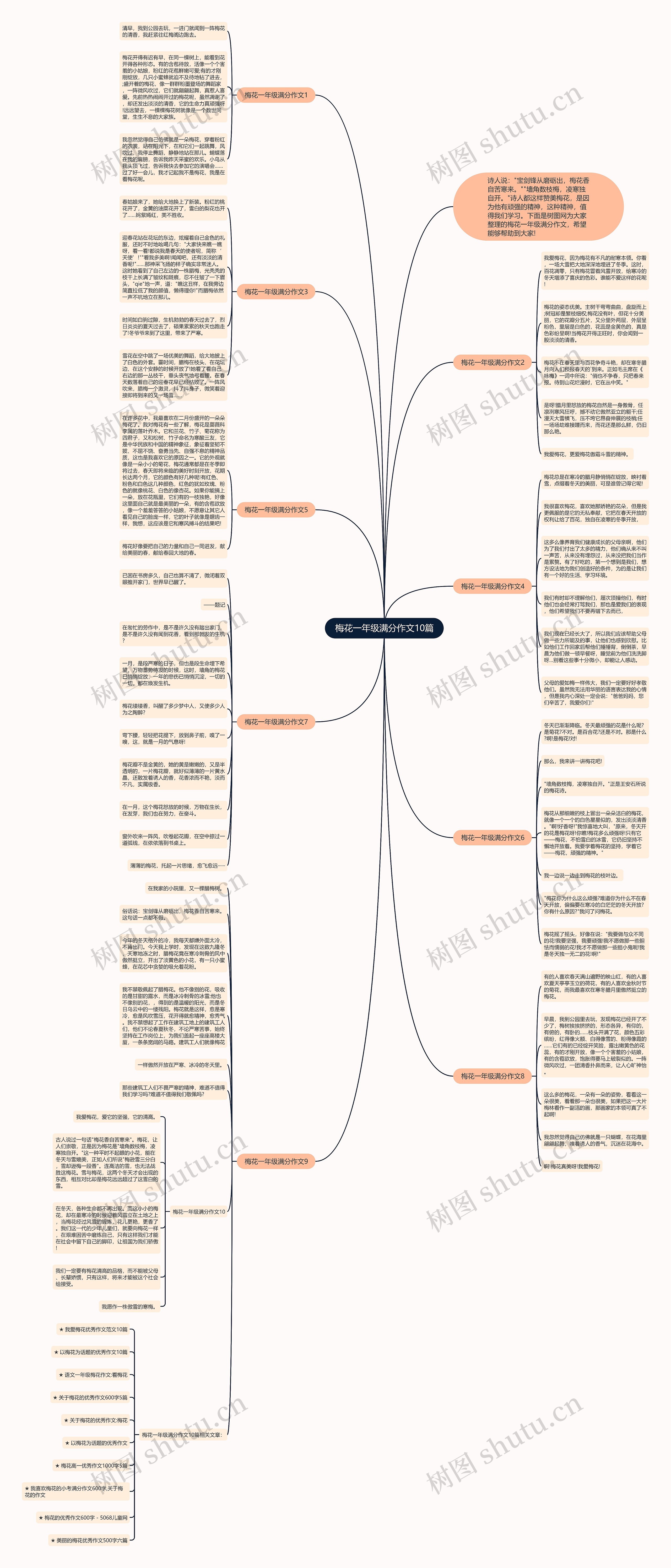 梅花一年级满分作文10篇思维导图