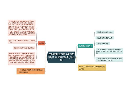 2020年执业药师《中药药剂学》考试复习讲义
