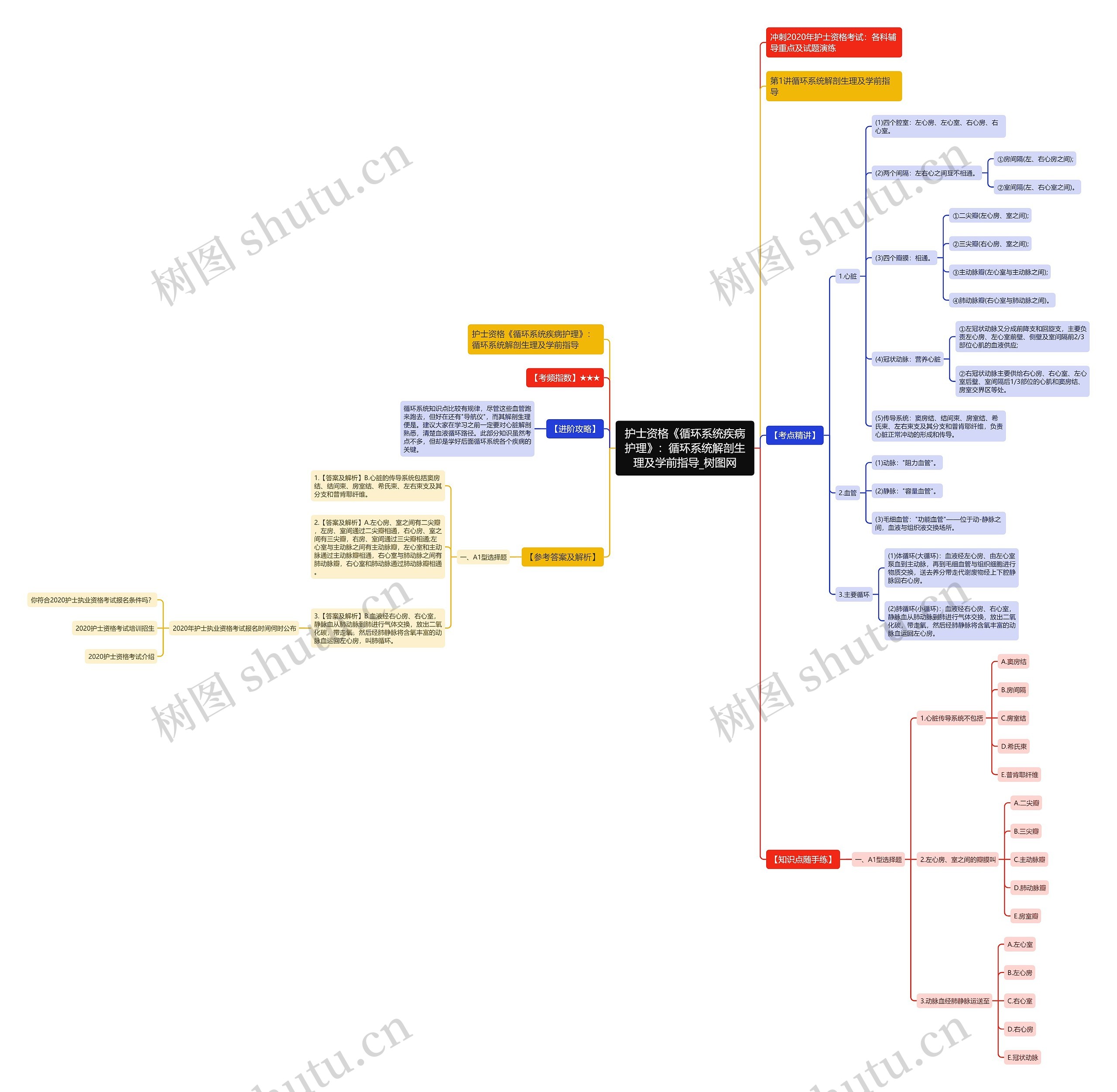 护士资格《循环系统疾病护理》：循环系统解剖生理及学前指导思维导图