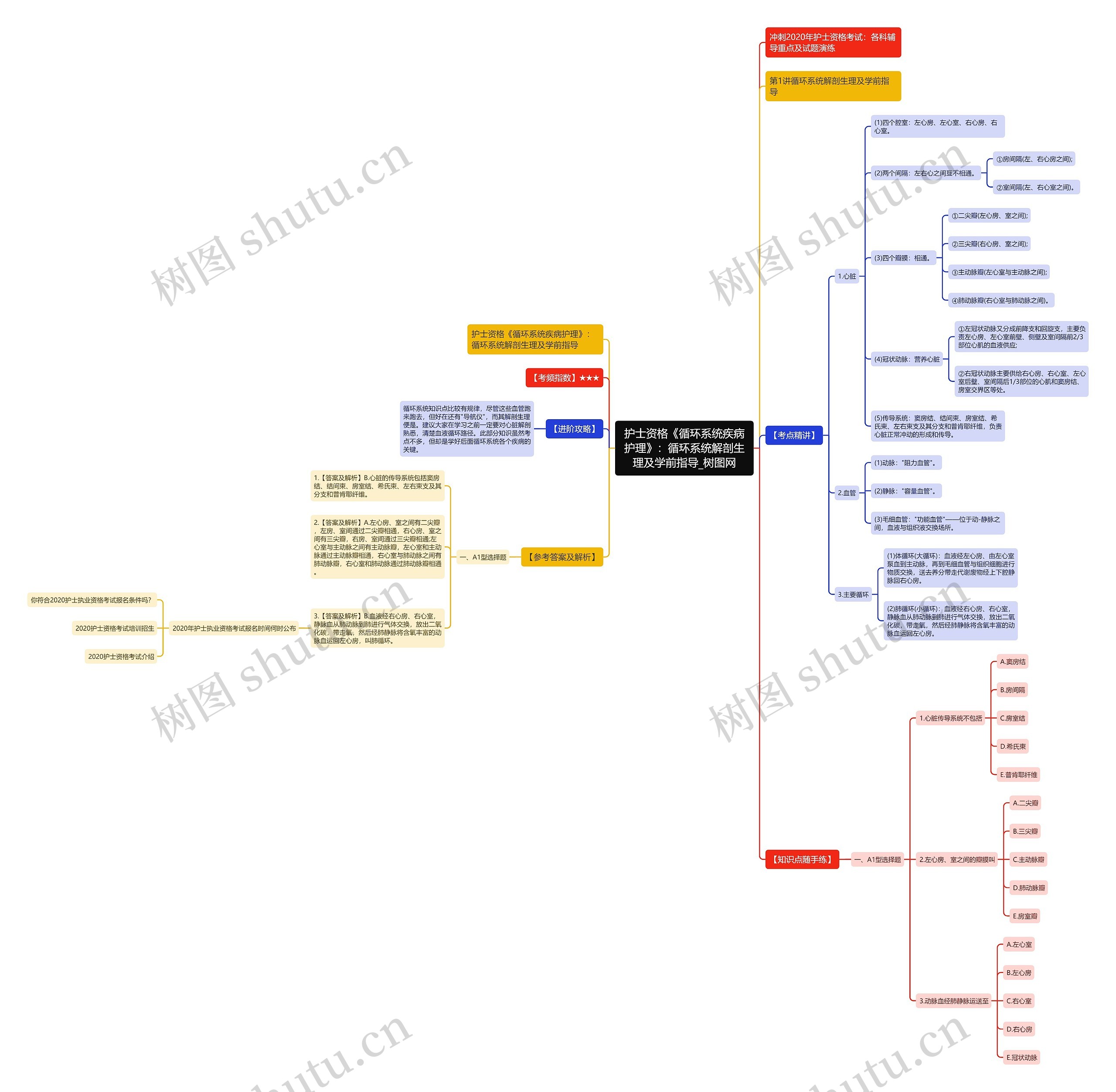 护士资格《循环系统疾病护理》:循环系统解剖生理及学前指导 护士资格《循环系统疾病护理》:循环系统解剖生理及学前指导