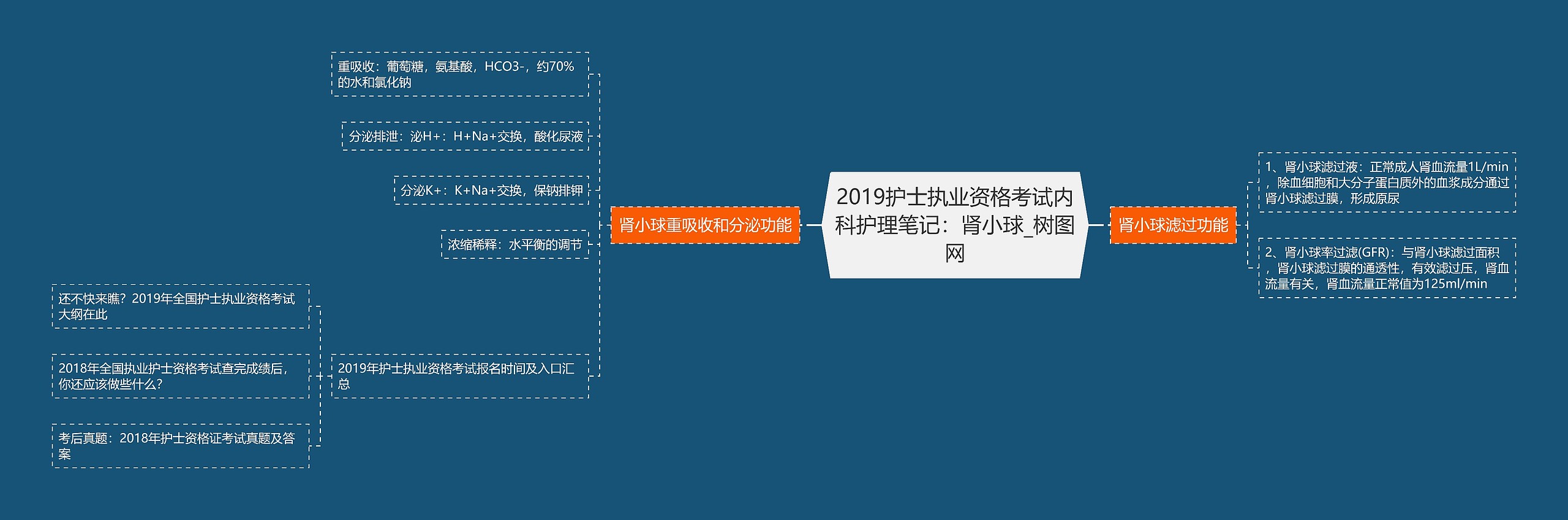 2019护士执业资格考试内科护理笔记：肾小球