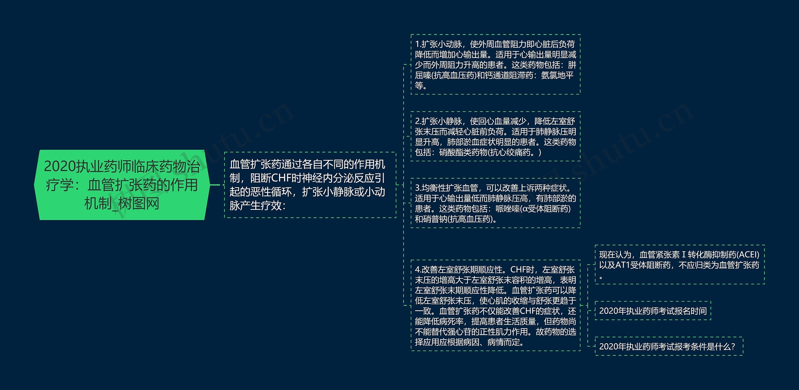 2020执业药师临床药物治疗学：血管扩张药的作用机制