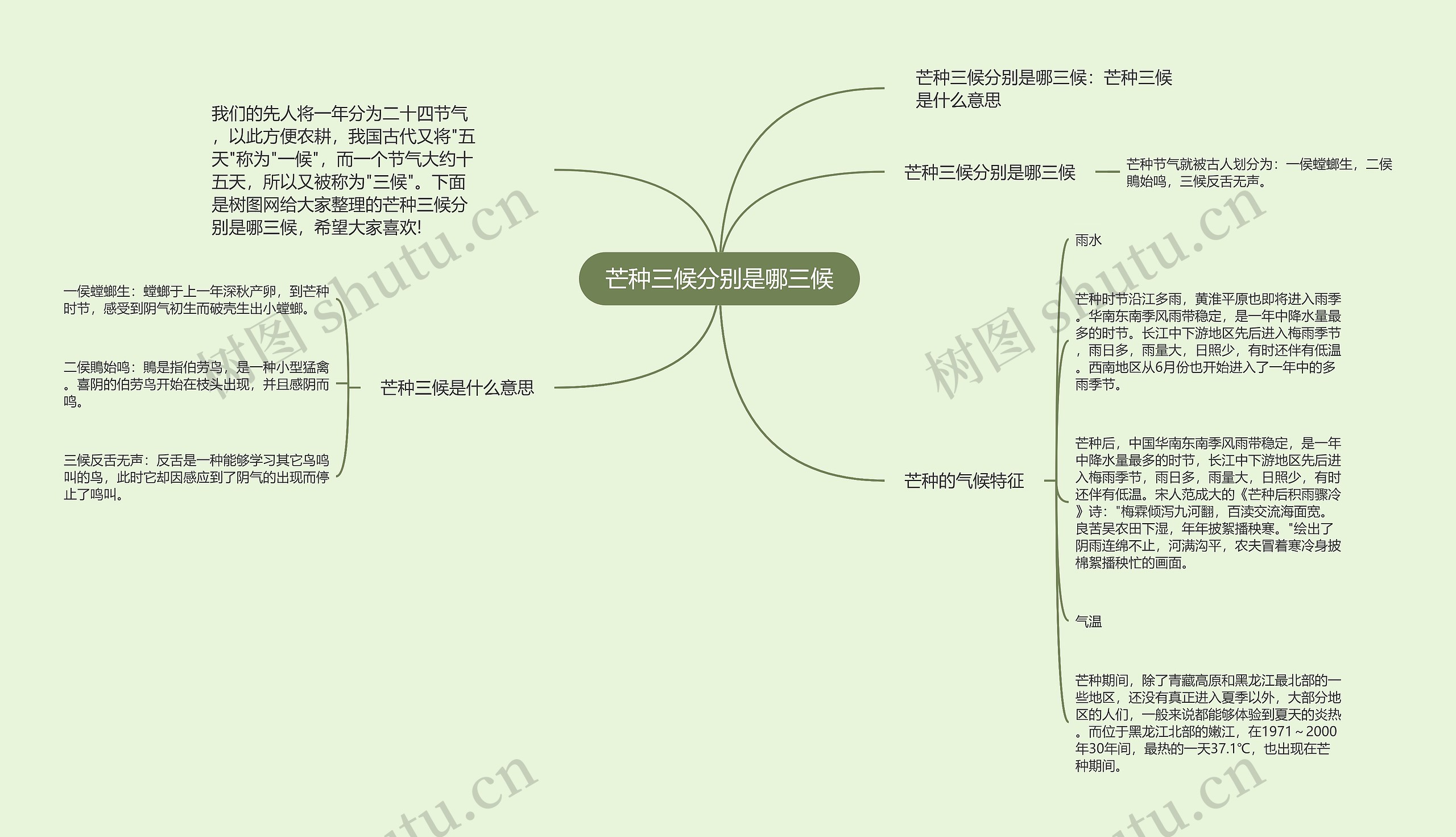 芒种三候分别是哪三候