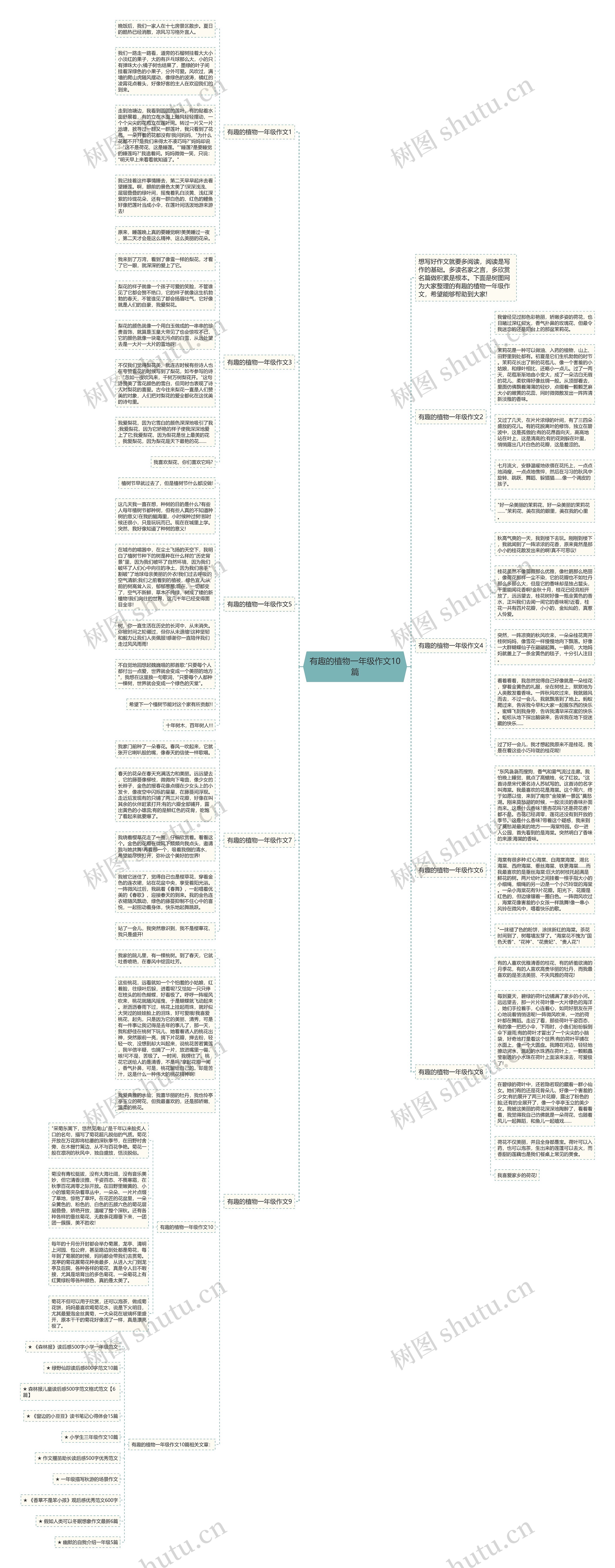 有趣的植物一年级作文10篇思维导图