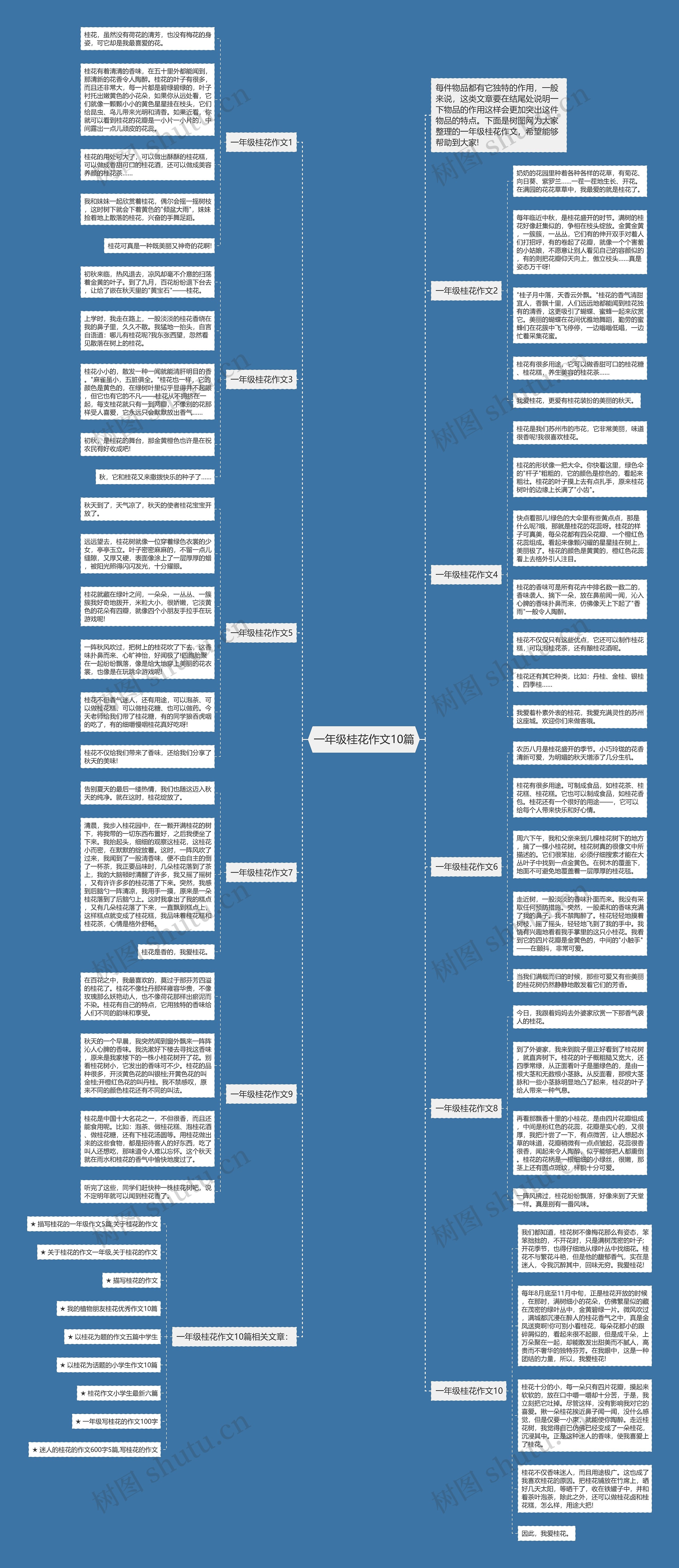 一年级桂花作文10篇思维导图