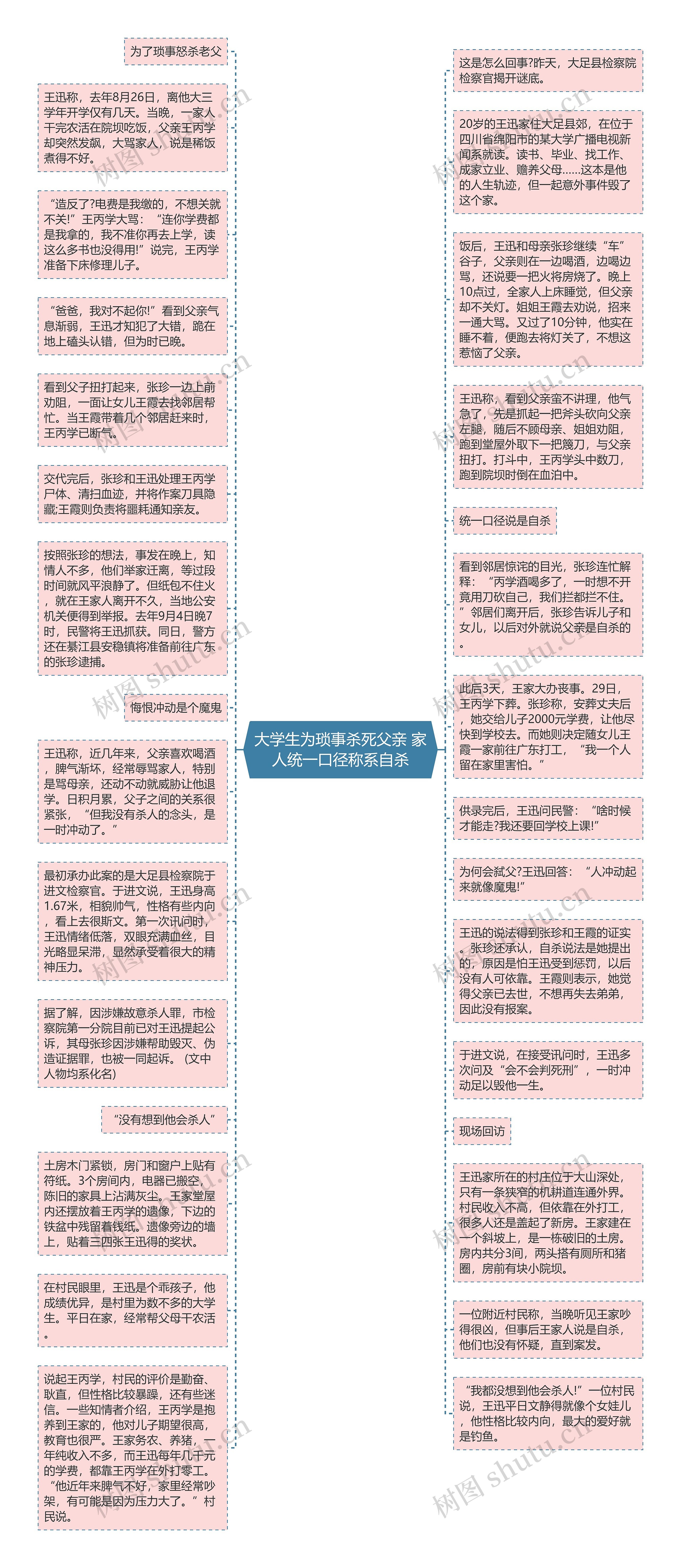 大学生为琐事杀死父亲 家人统一口径称系自杀思维导图