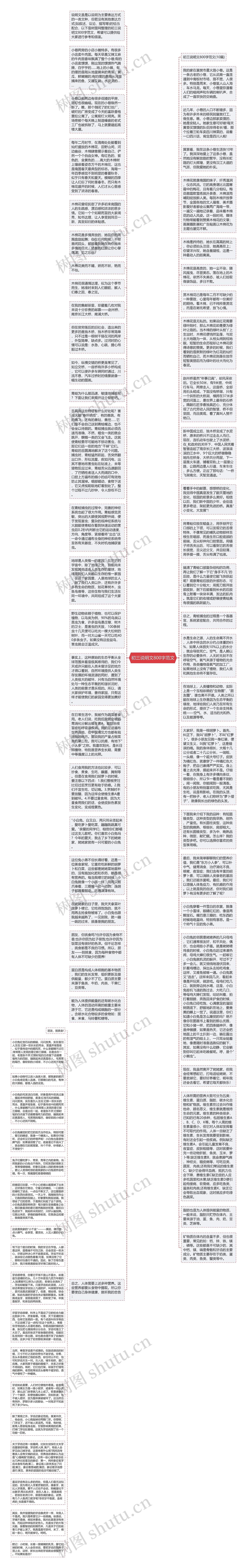 初三说明文800字范文思维导图