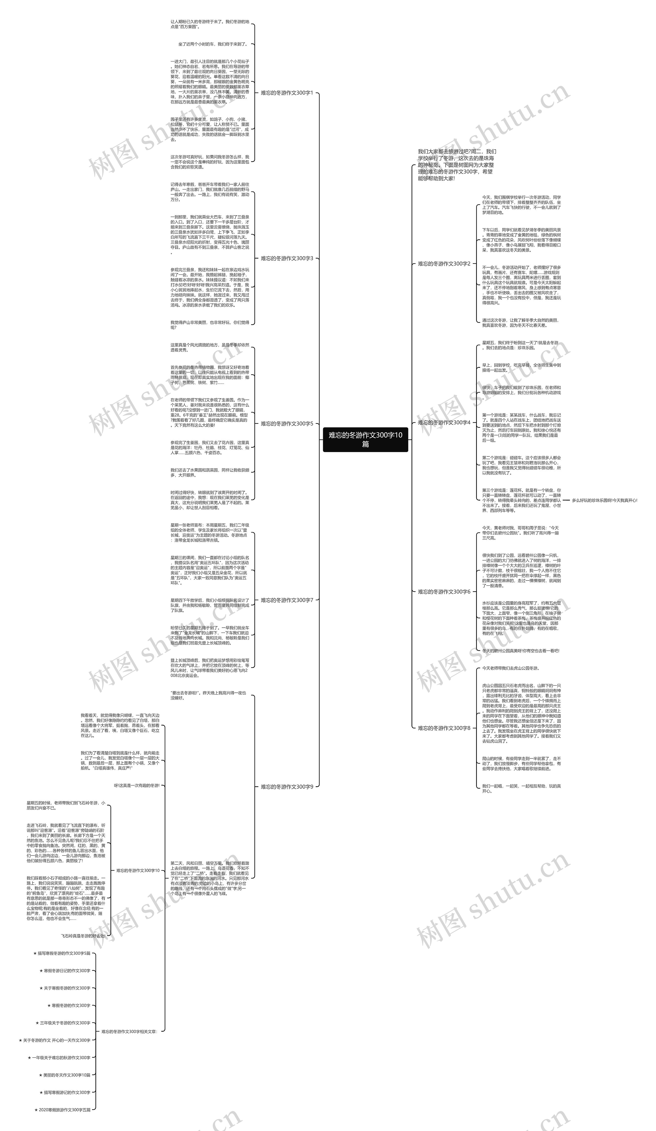 难忘的冬游作文300字10篇思维导图