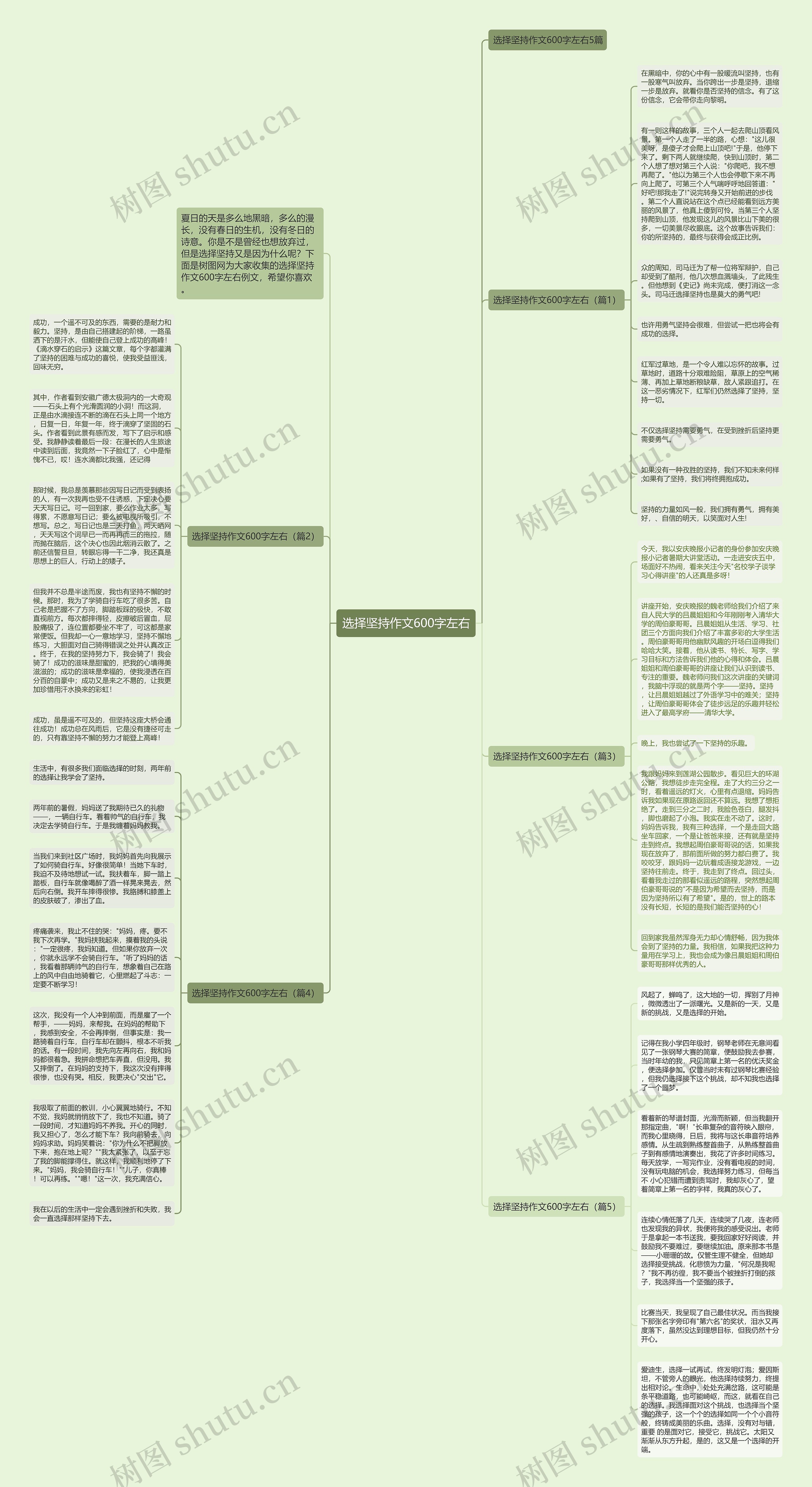 选择坚持作文600字左右思维导图