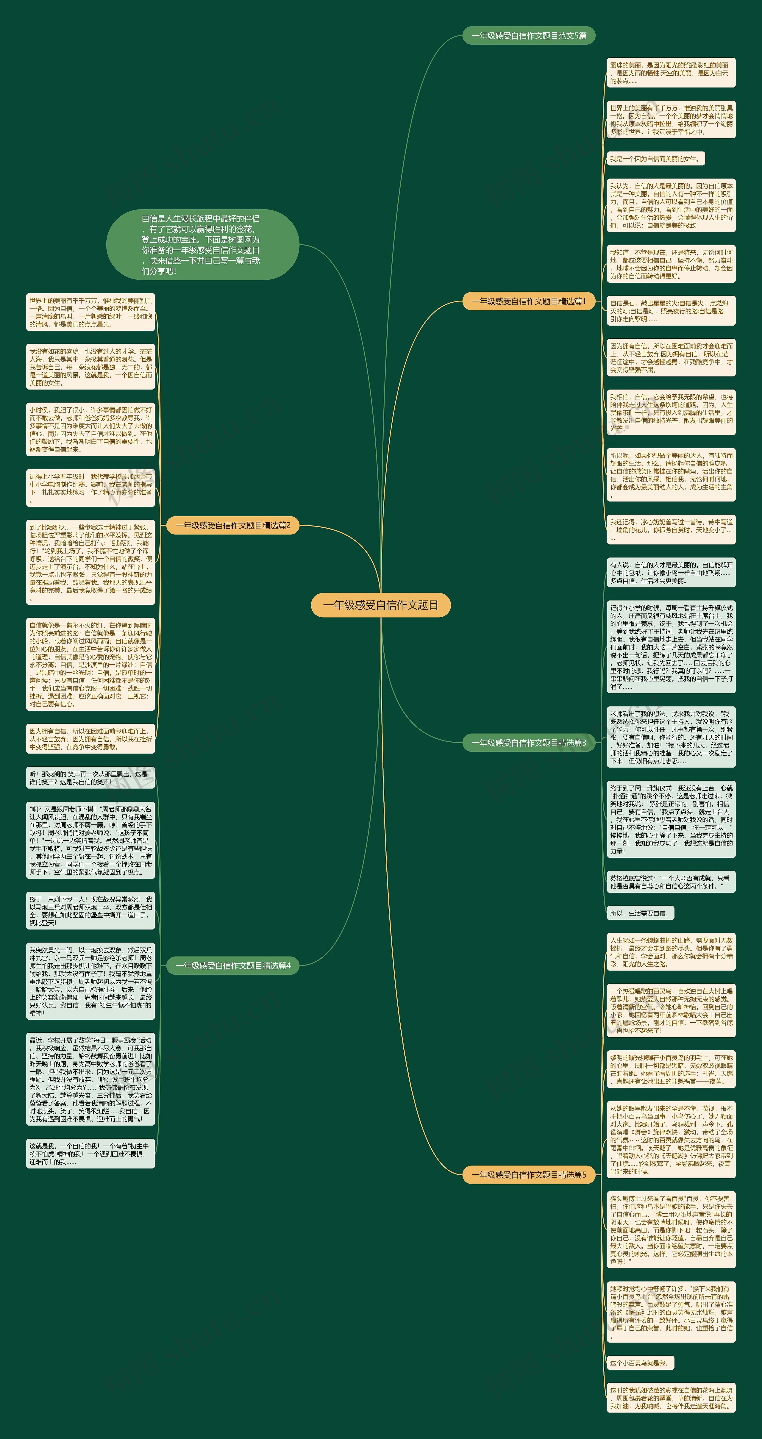 一年级感受自信作文题目思维导图