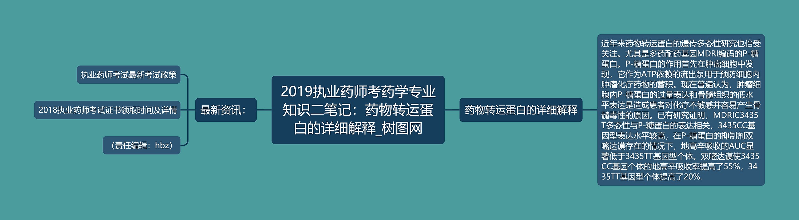 2019执业药师考药学专业知识二笔记：药物转运蛋白的详细解释思维导图