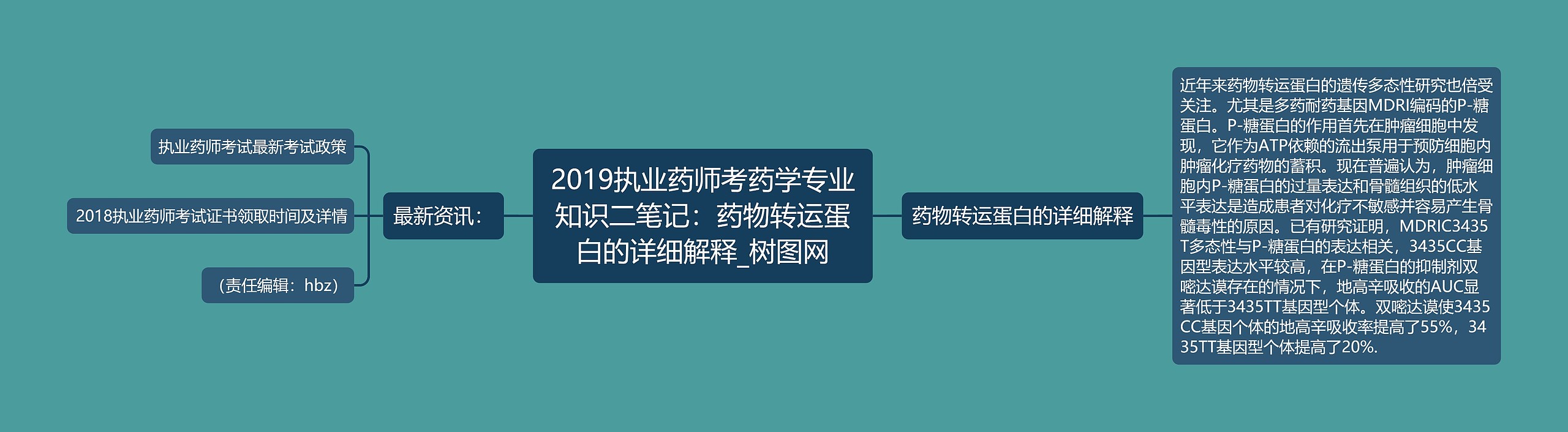 2019执业药师考药学专业知识二笔记:药物转运蛋白的详细解释 2019执业药师考药学专业知识二笔记:药物转运蛋白的详细解释