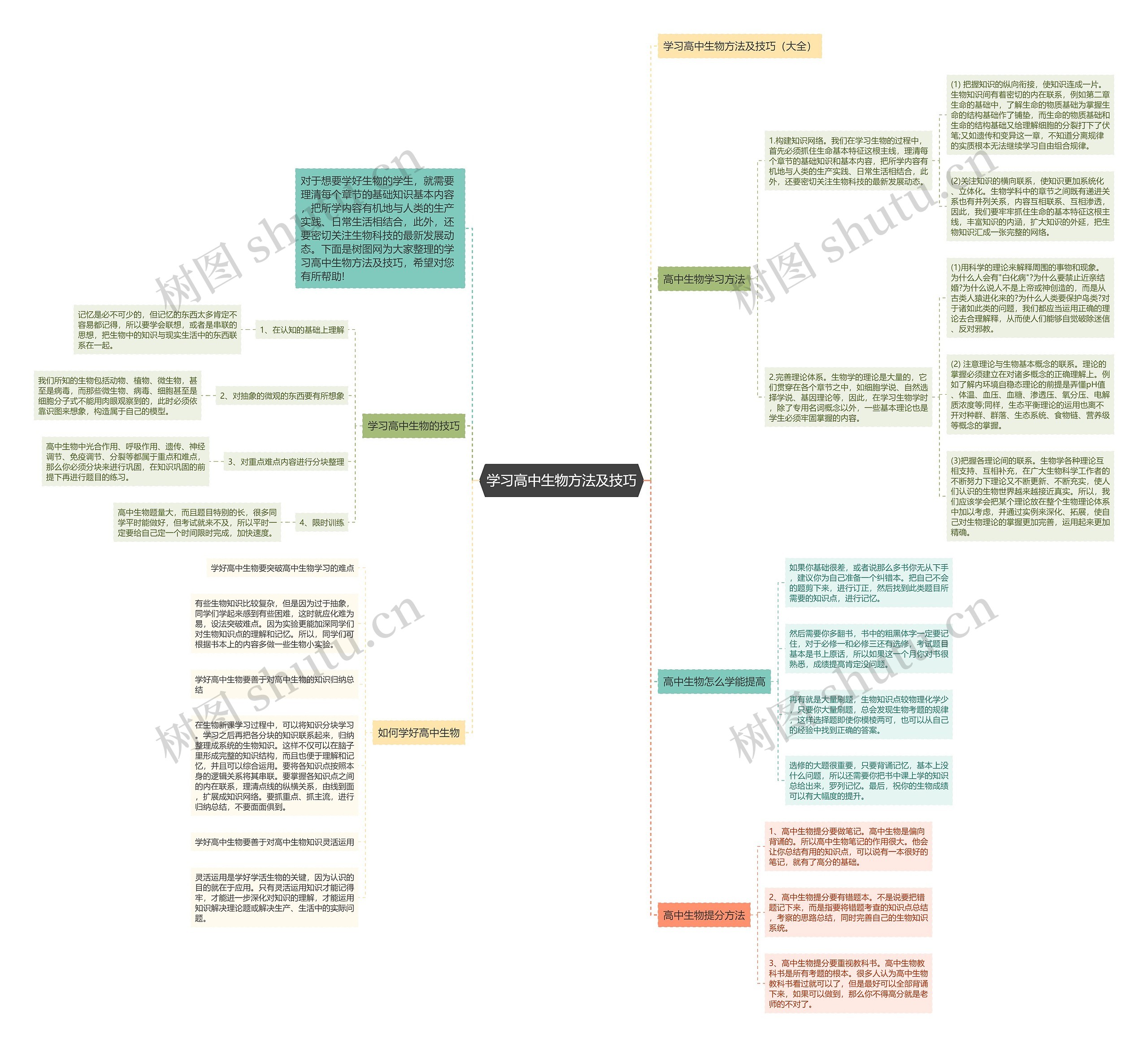 学习高中生物方法及技巧思维导图