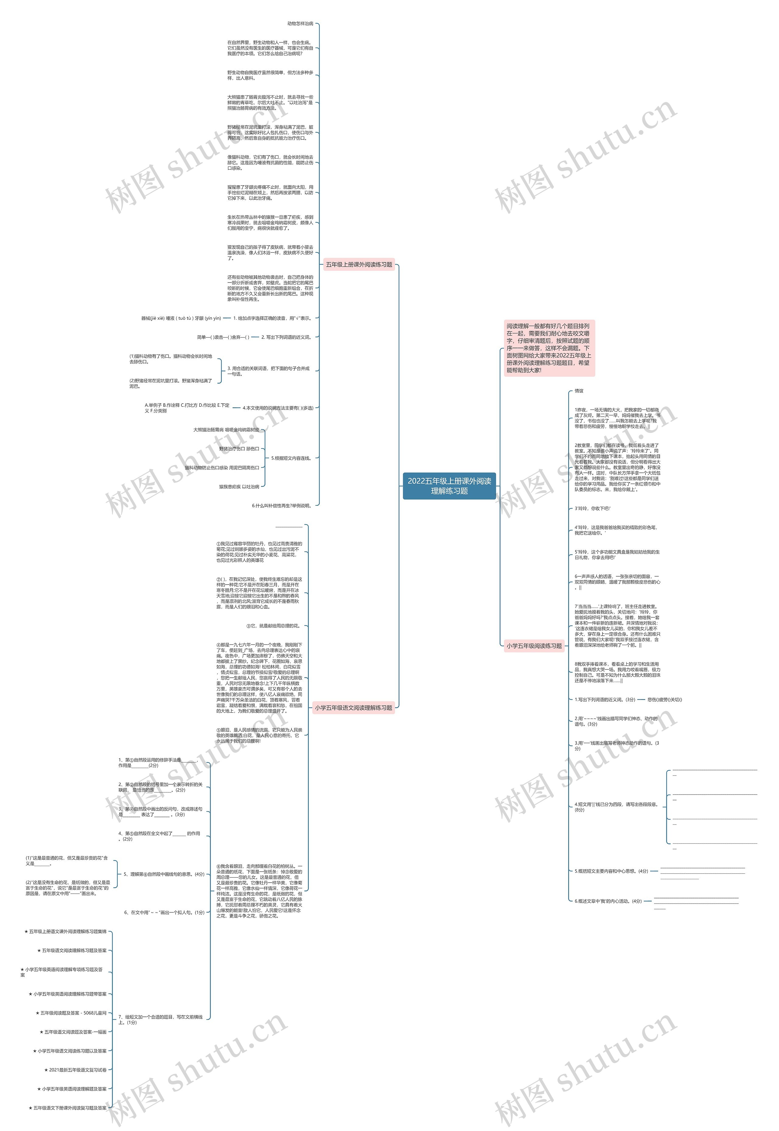 2022五年级上册课外阅读理解练习题思维导图