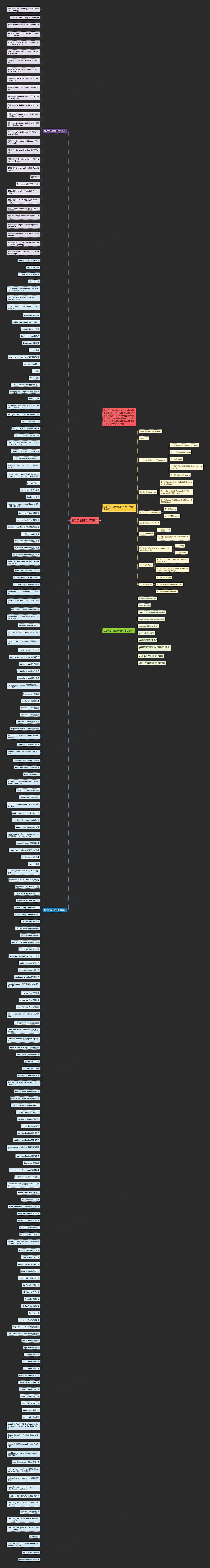 医学英语词汇学习资料思维导图