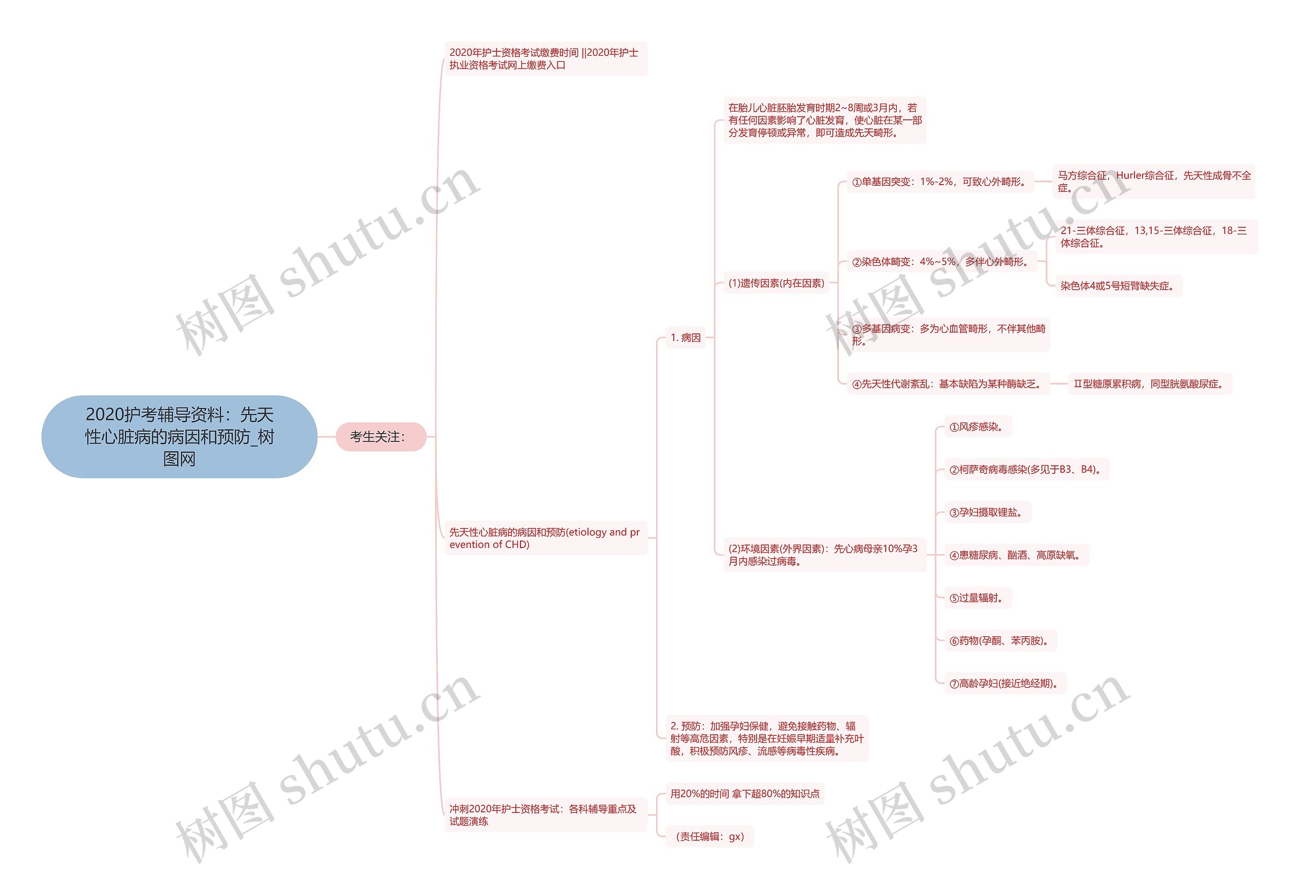 2020护考辅导资料：先天性心脏病的病因和预防思维导图