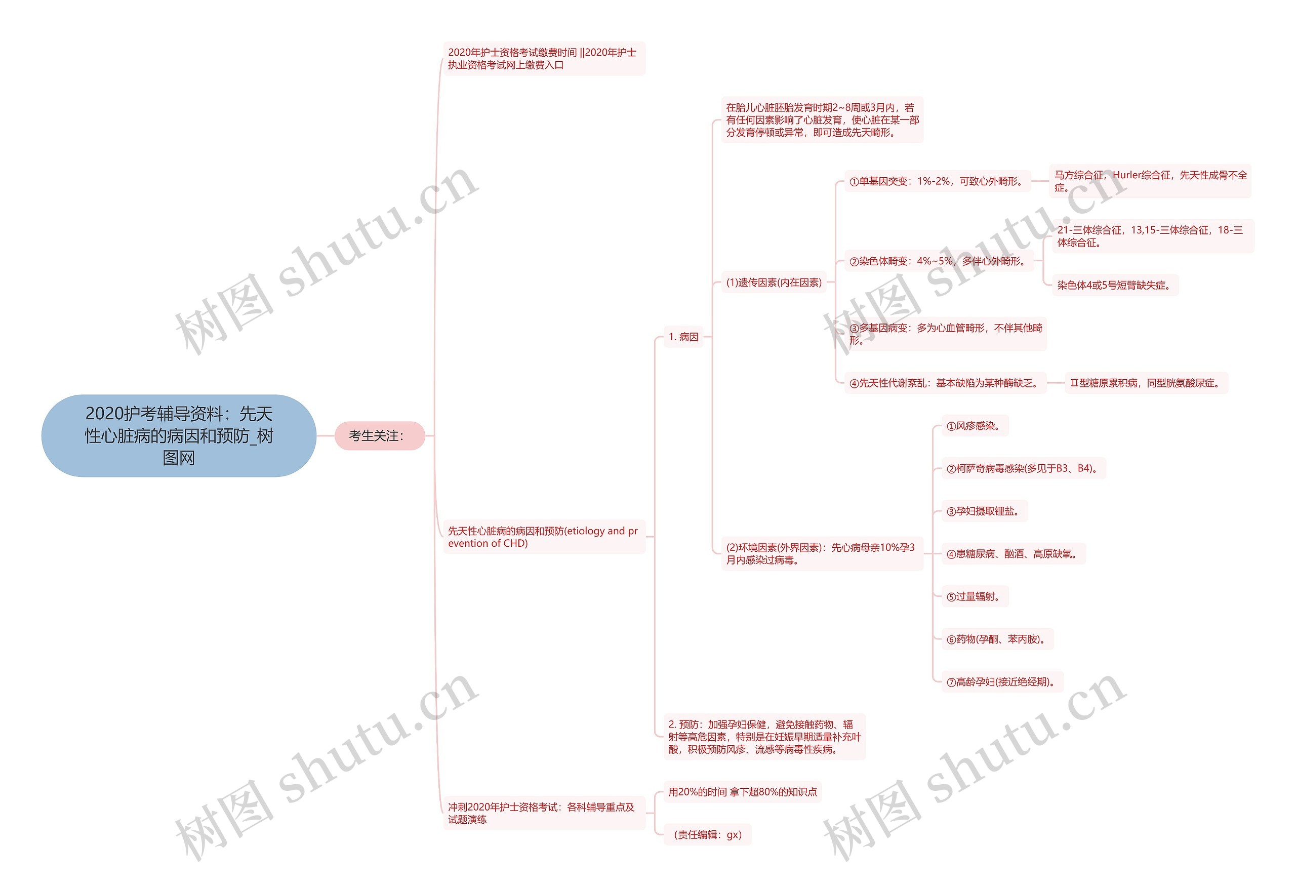 2020护考辅导资料:先天性心脏病的病因和预防 2020护考辅导资料:先天性心脏病的病因和预防