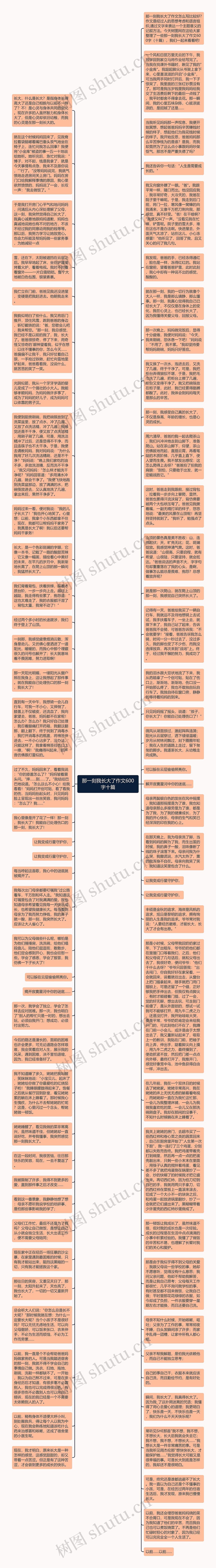 那一刻我长大了作文600字十篇思维导图