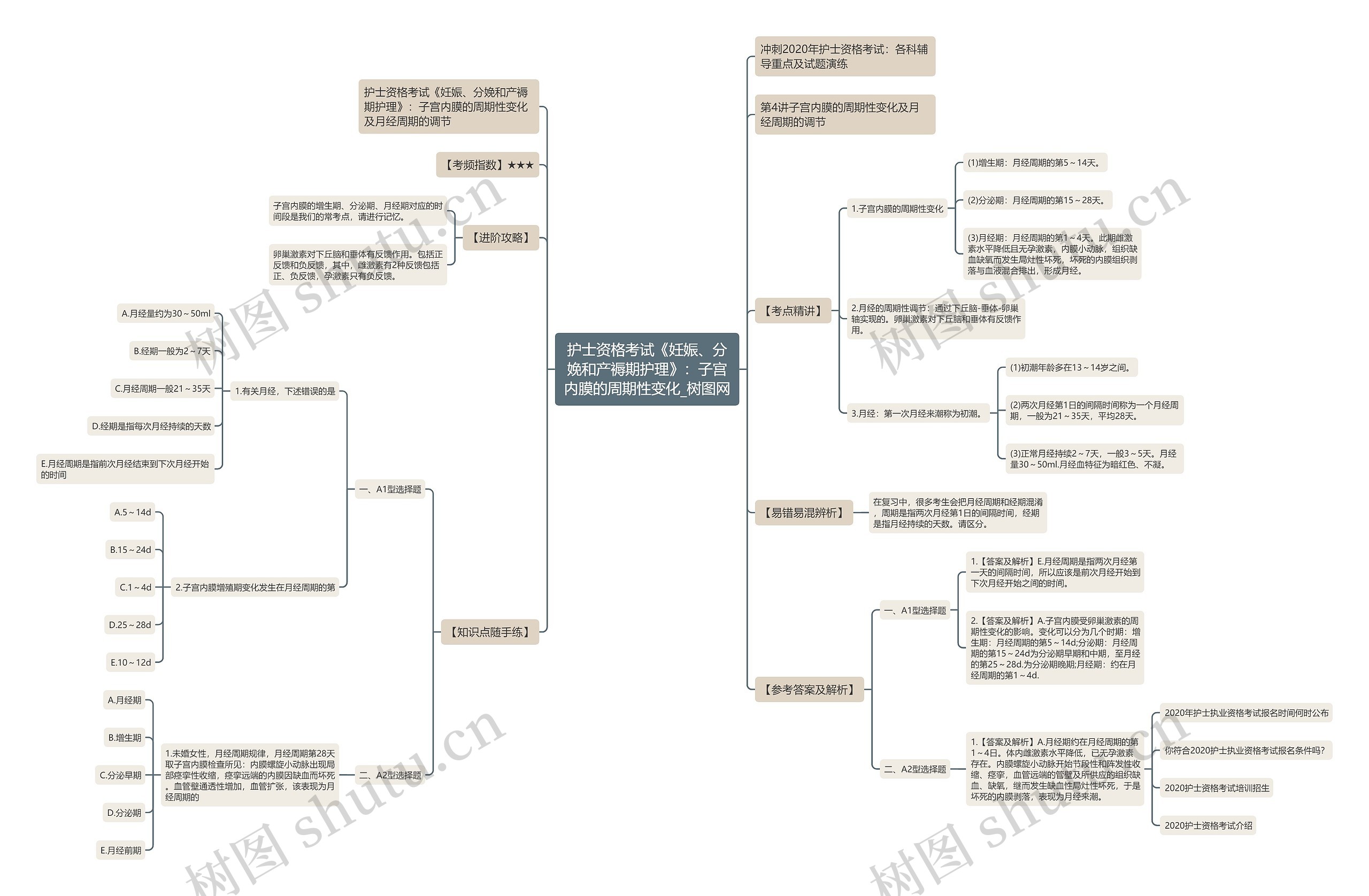 护士资格考试《妊娠、分娩和产褥期护理》：子宫内膜的周期性变化思维导图
