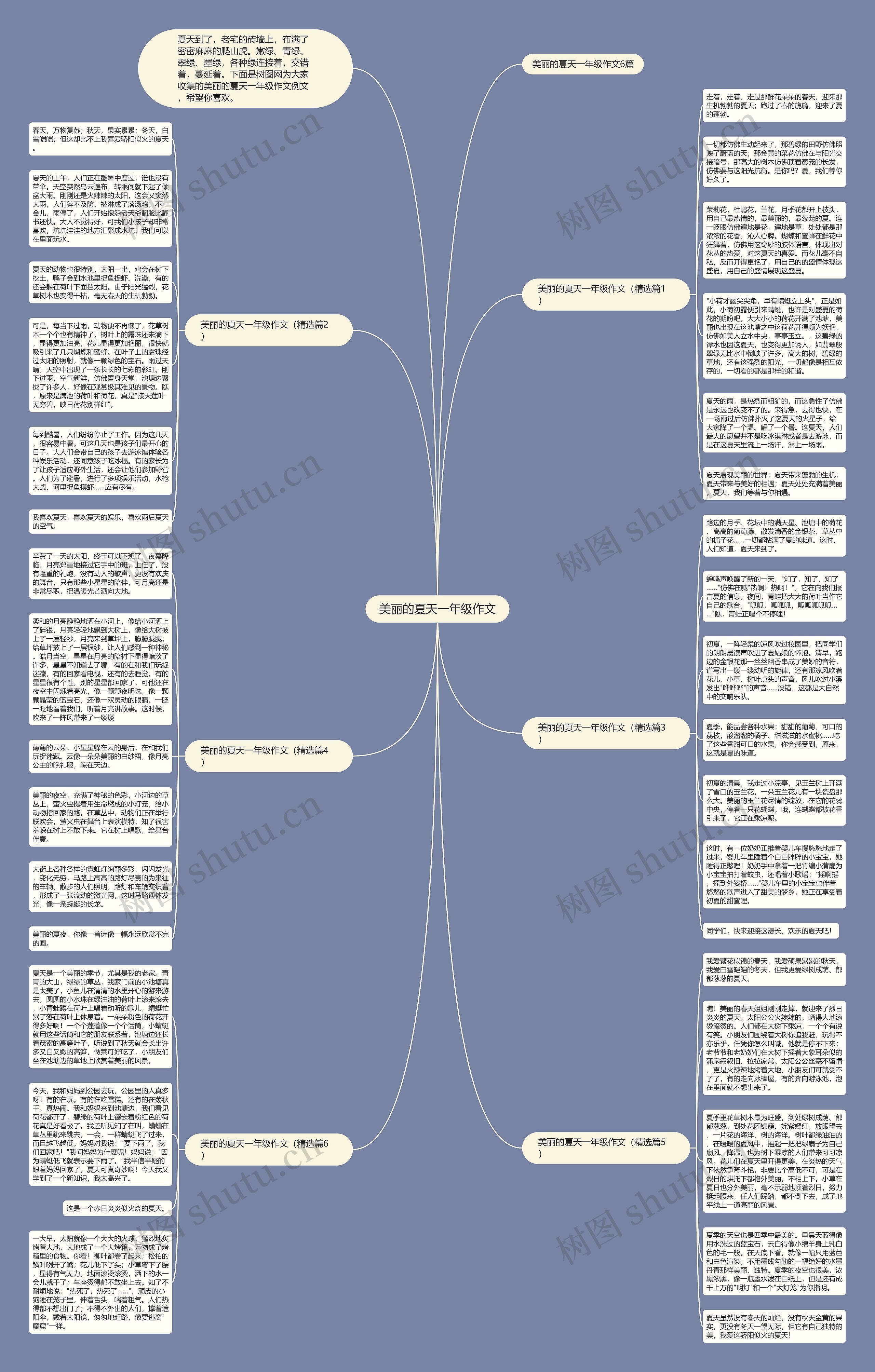 美丽的夏天一年级作文思维导图