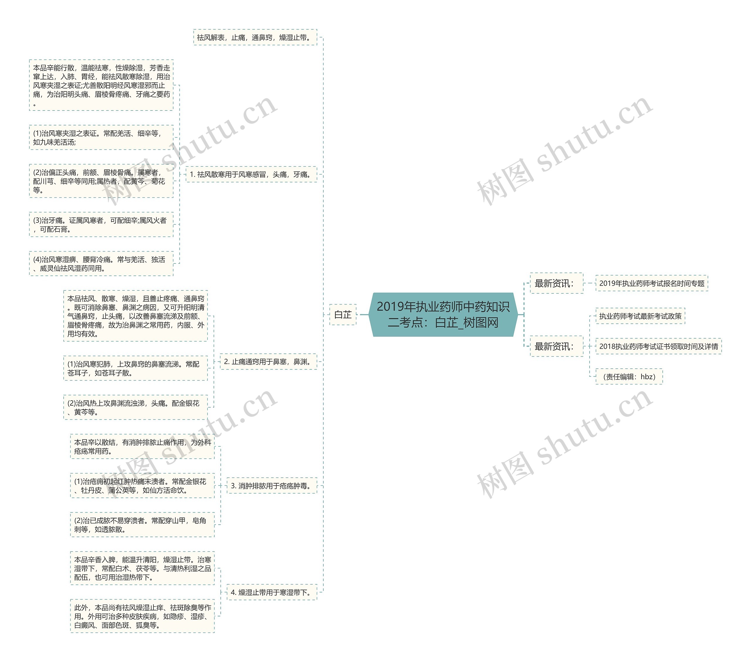 2019年执业药师中药知识二考点:白芷 2019年执业药师中药知识二考点:白芷