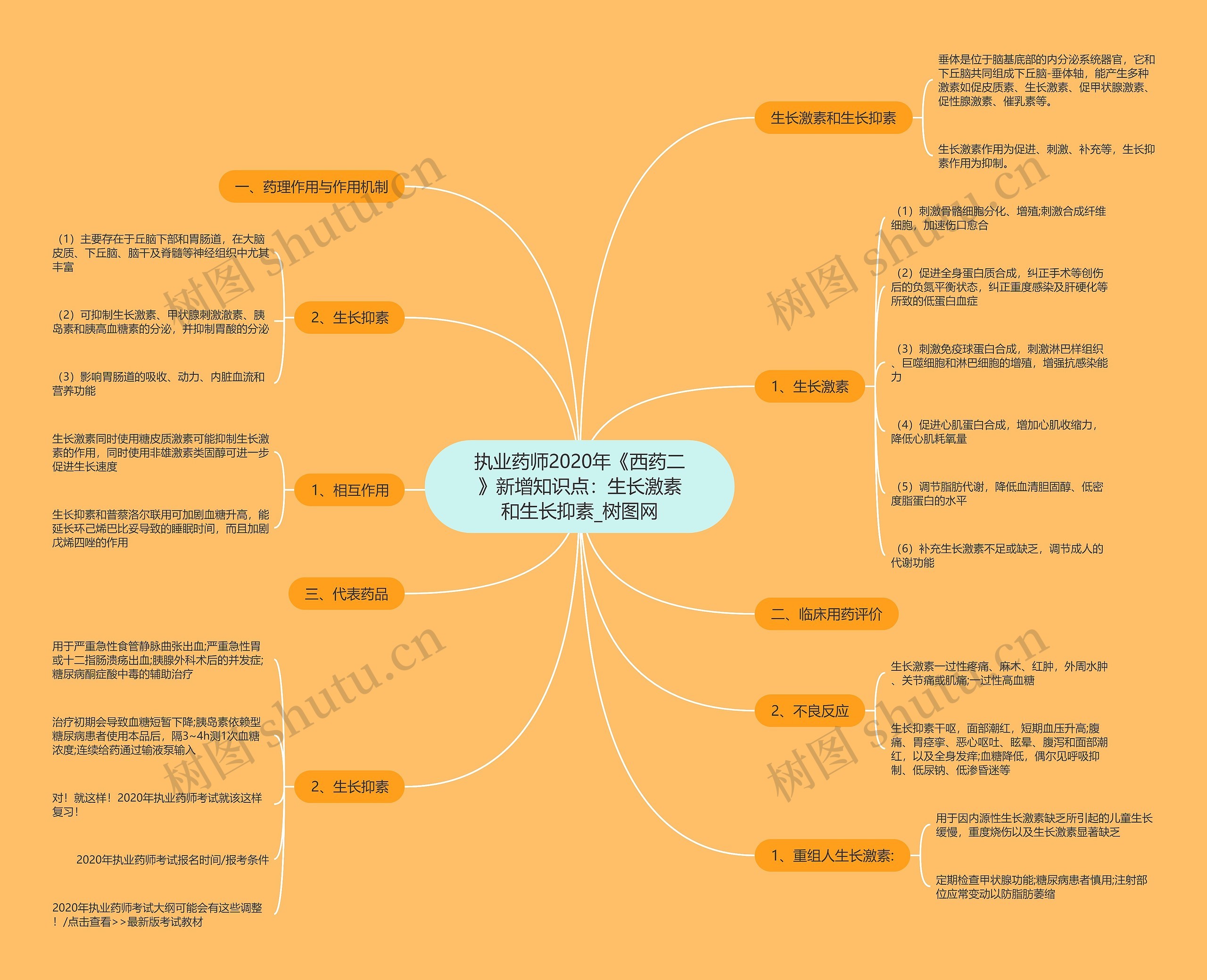 执业药师2020年《西药二》新增知识点:生长激素和生长抑素 执业药师2020年《西药二》新增知识点:生长激素和生长抑素