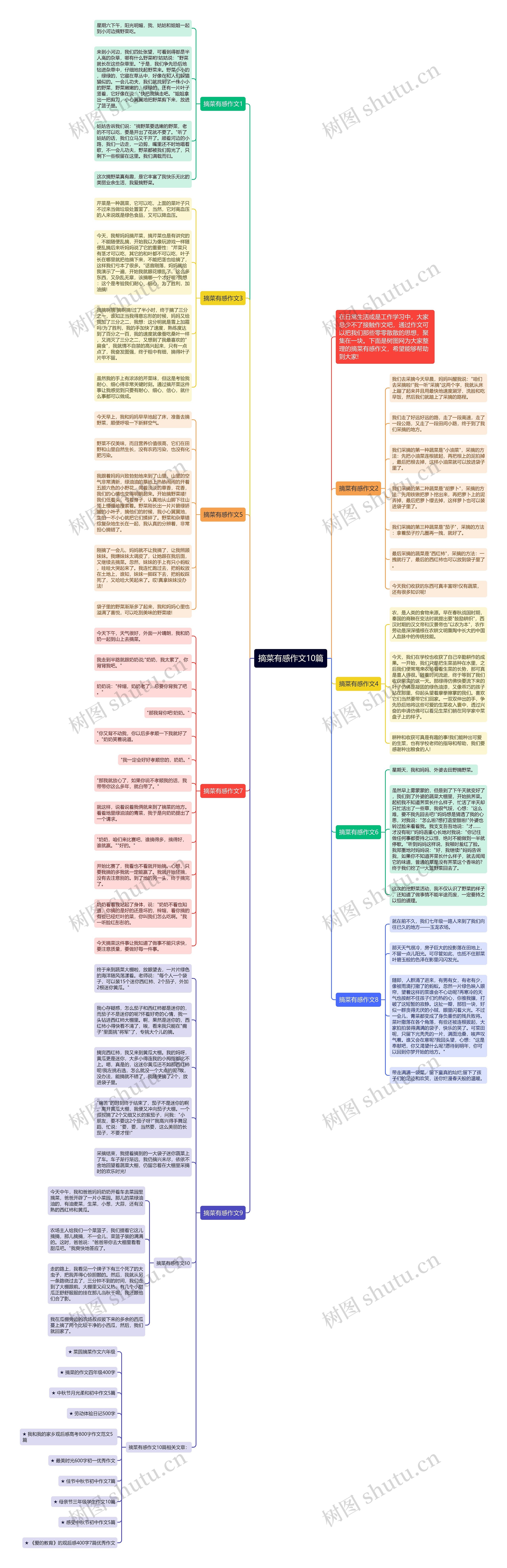 摘菜有感作文10篇思维导图