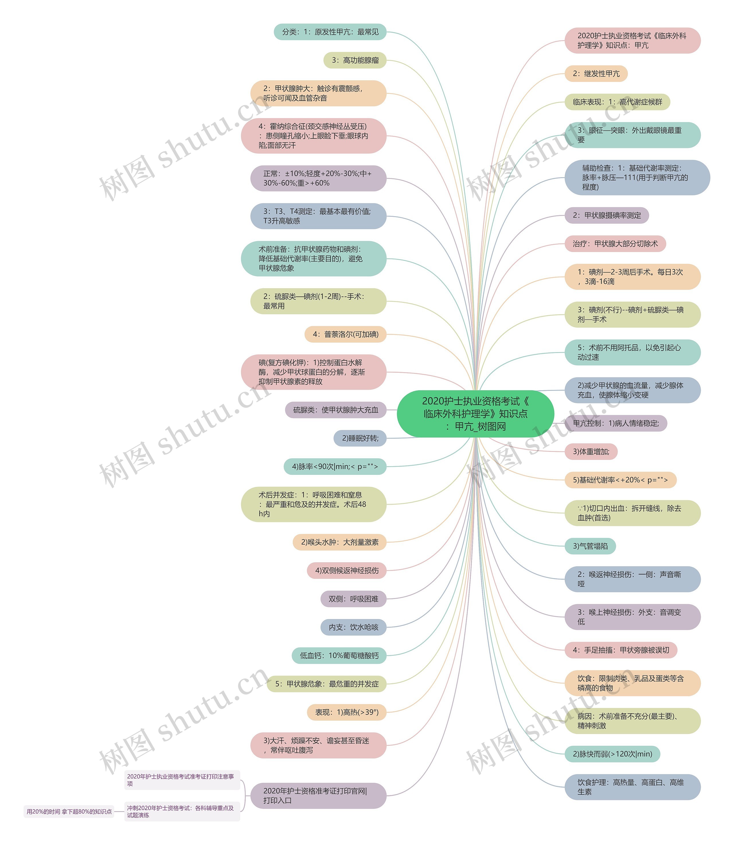 2020护士执业资格考试《临床外科护理学》知识点:甲亢 2020护士执业资格考试《临床外科护理学》知识点:甲亢