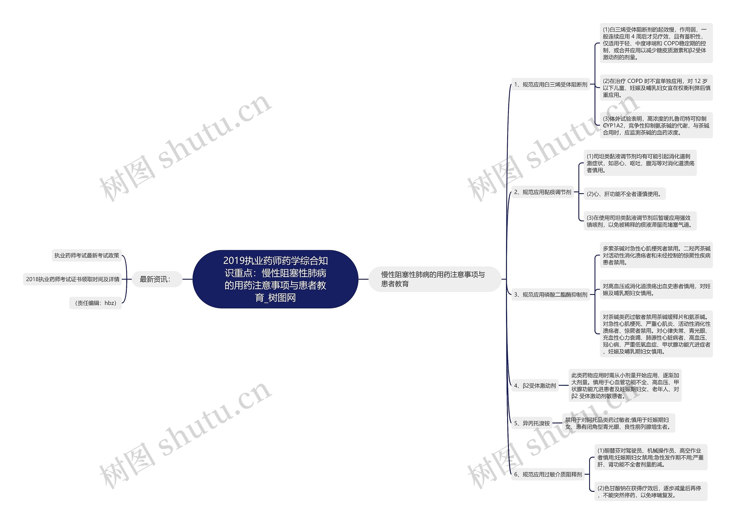 2019执业药师药学综合知识重点：慢性阻塞性肺病的用药注意事项与患者教育思维导图