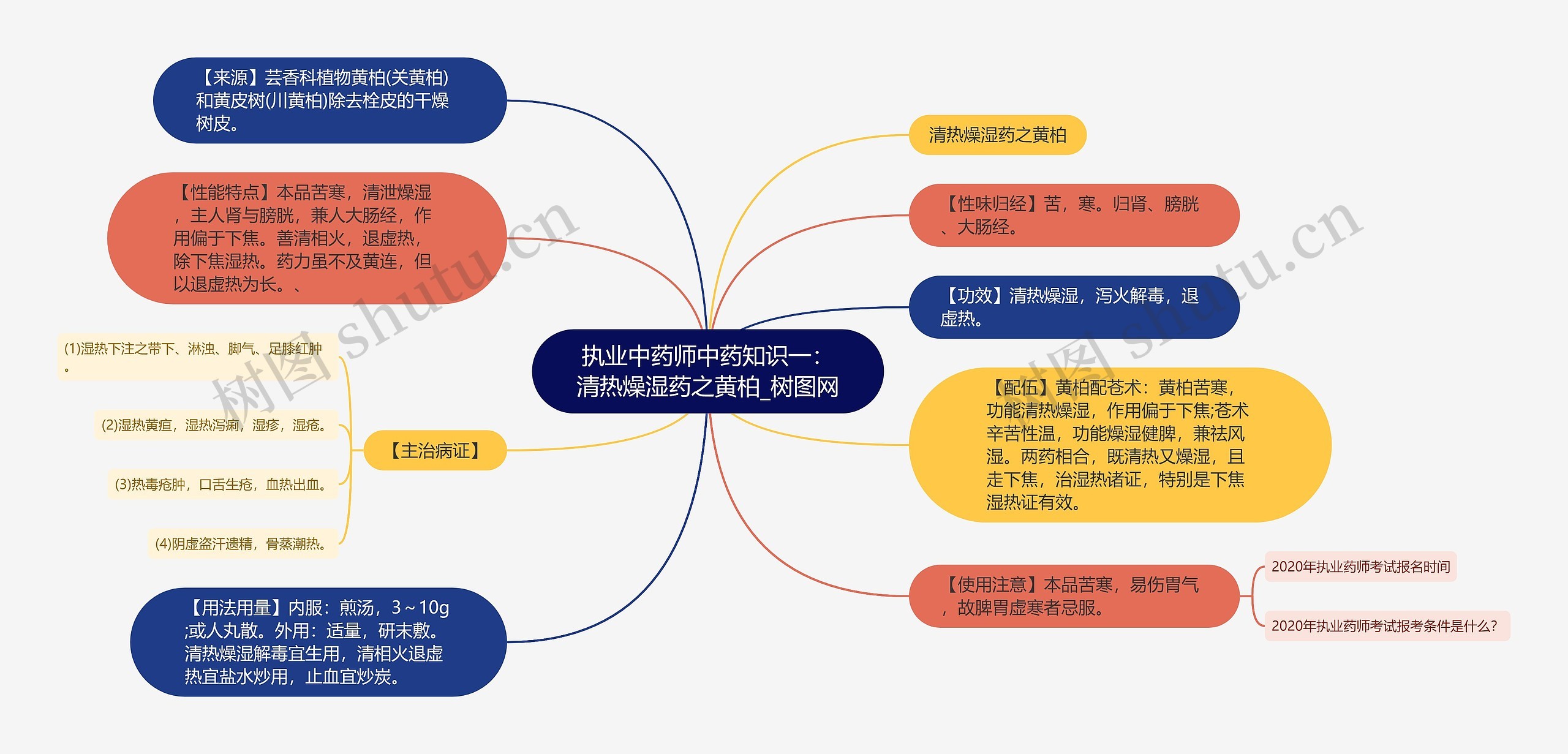 执业中药师中药知识一:清热燥湿药之黄柏 执业中药师中药知识一:清热燥湿药之黄柏