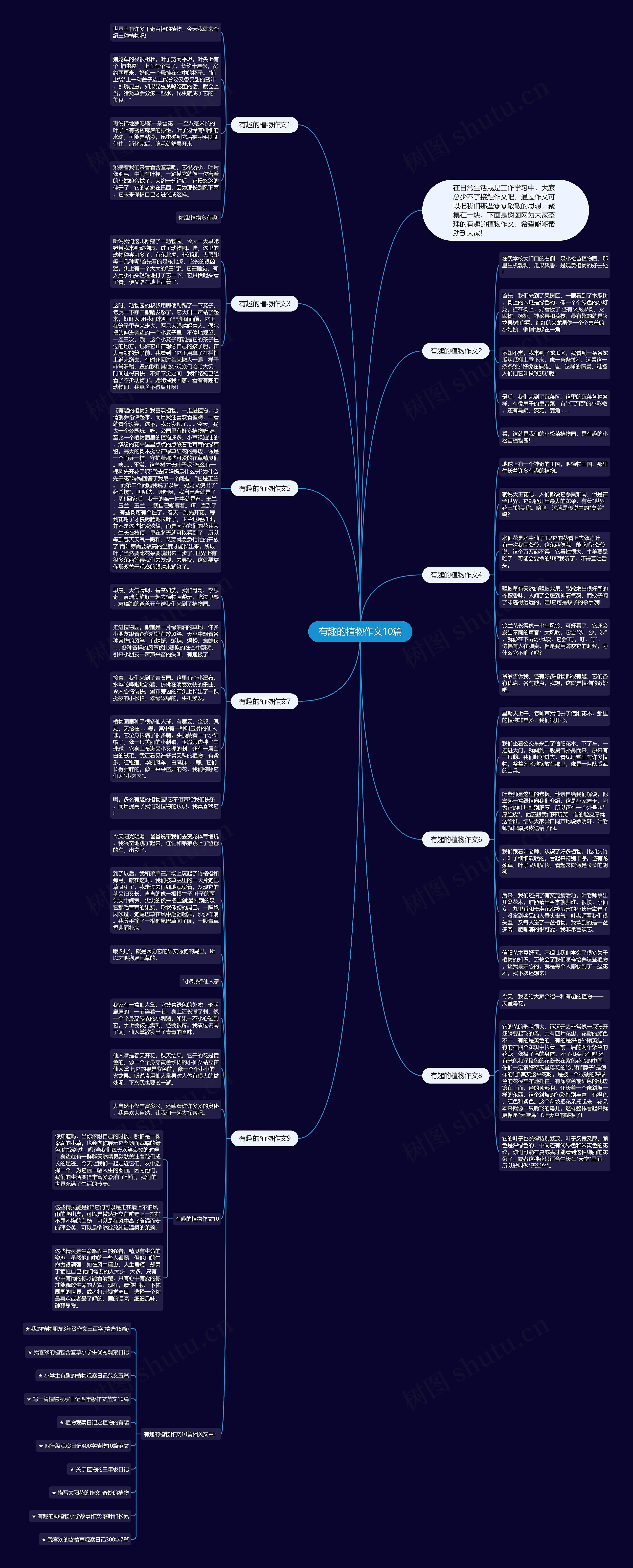 有趣的植物作文10篇思维导图