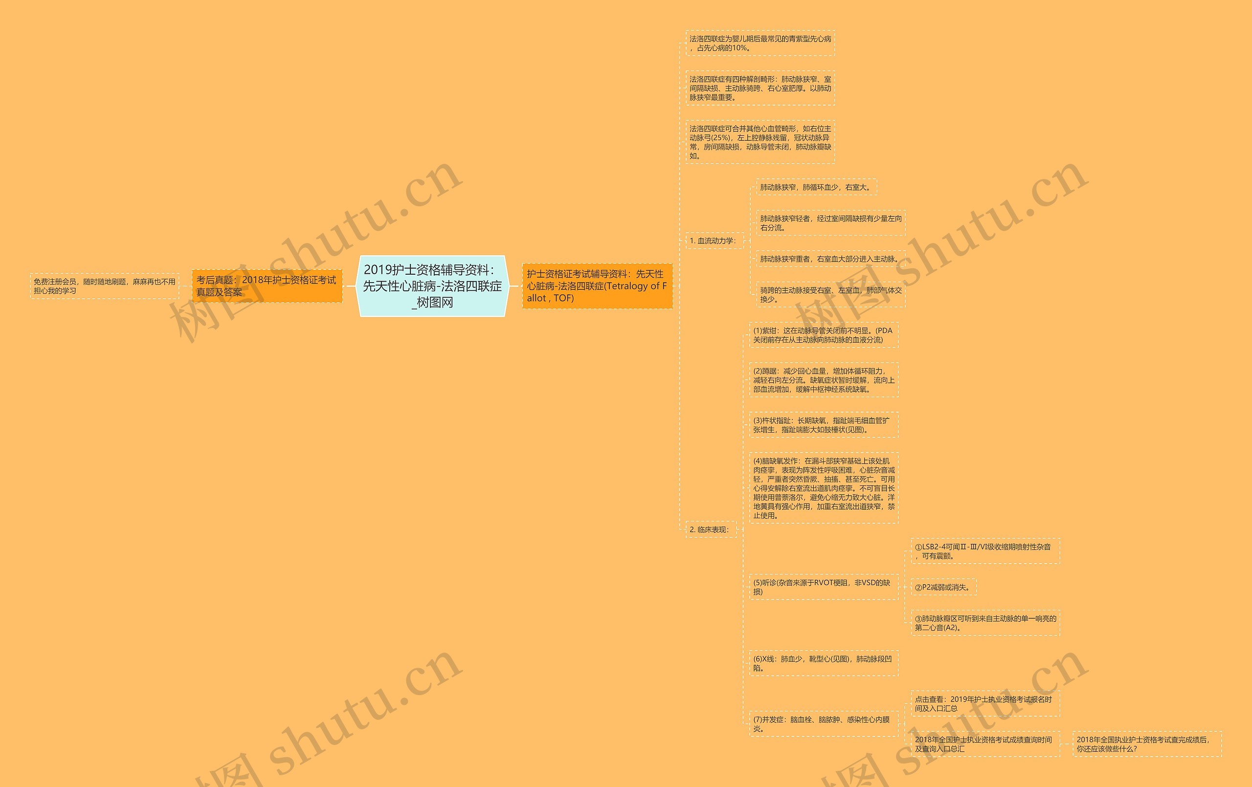 2019护士资格辅导资料:先天性心脏病-法洛四联症 2019护士资格辅导资料:先天性心脏病-法洛四联症