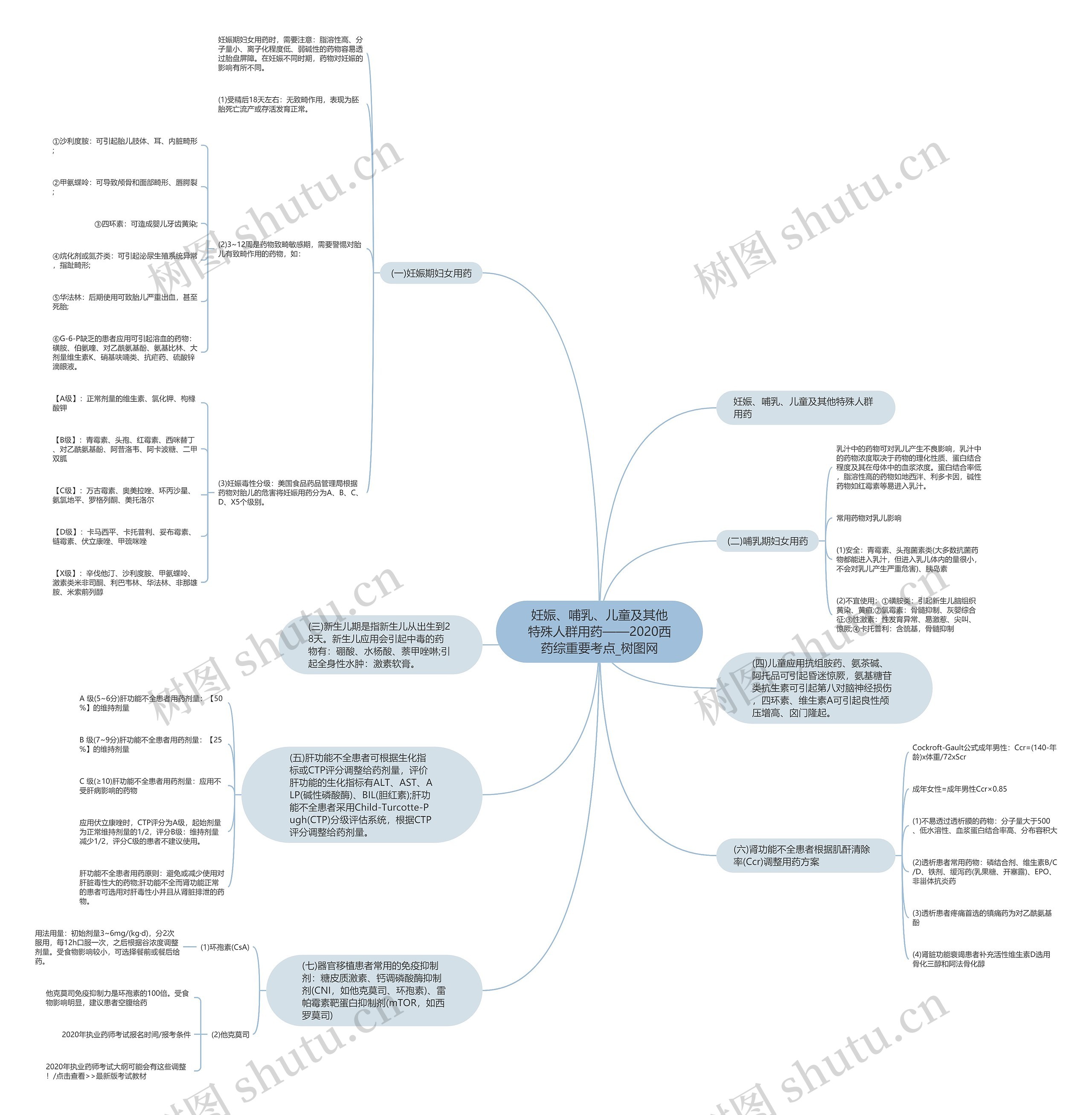 妊娠、哺乳、儿童及其他特殊人群用药——2020西药综重要考点