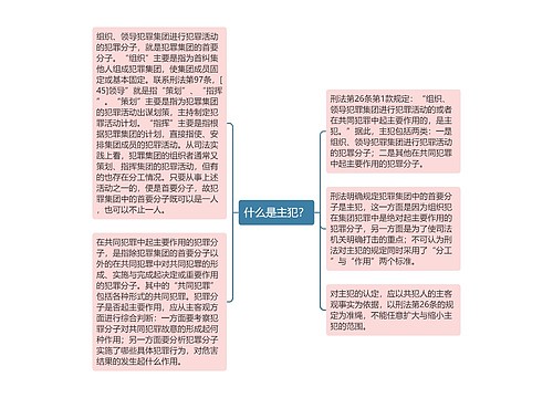 什么是主犯？思维导图