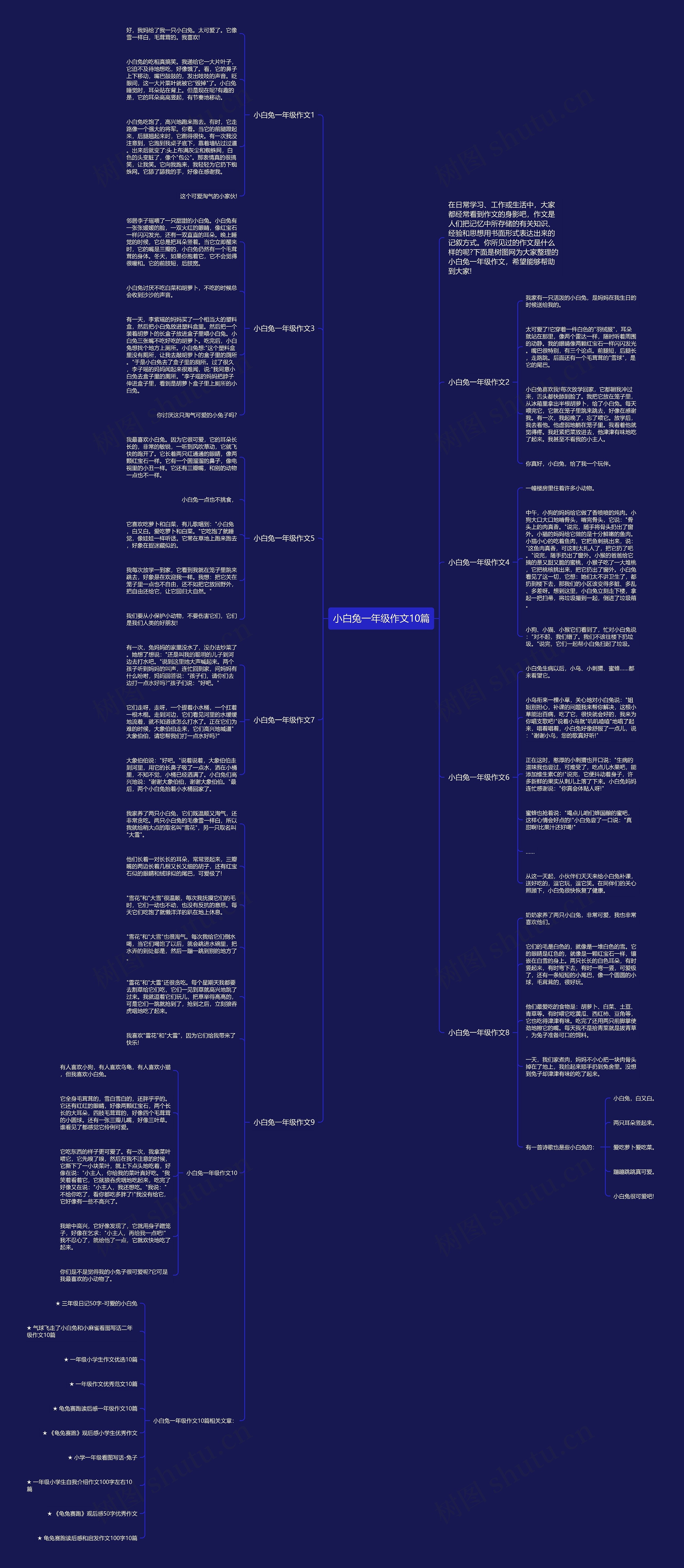小白兔一年级作文10篇思维导图