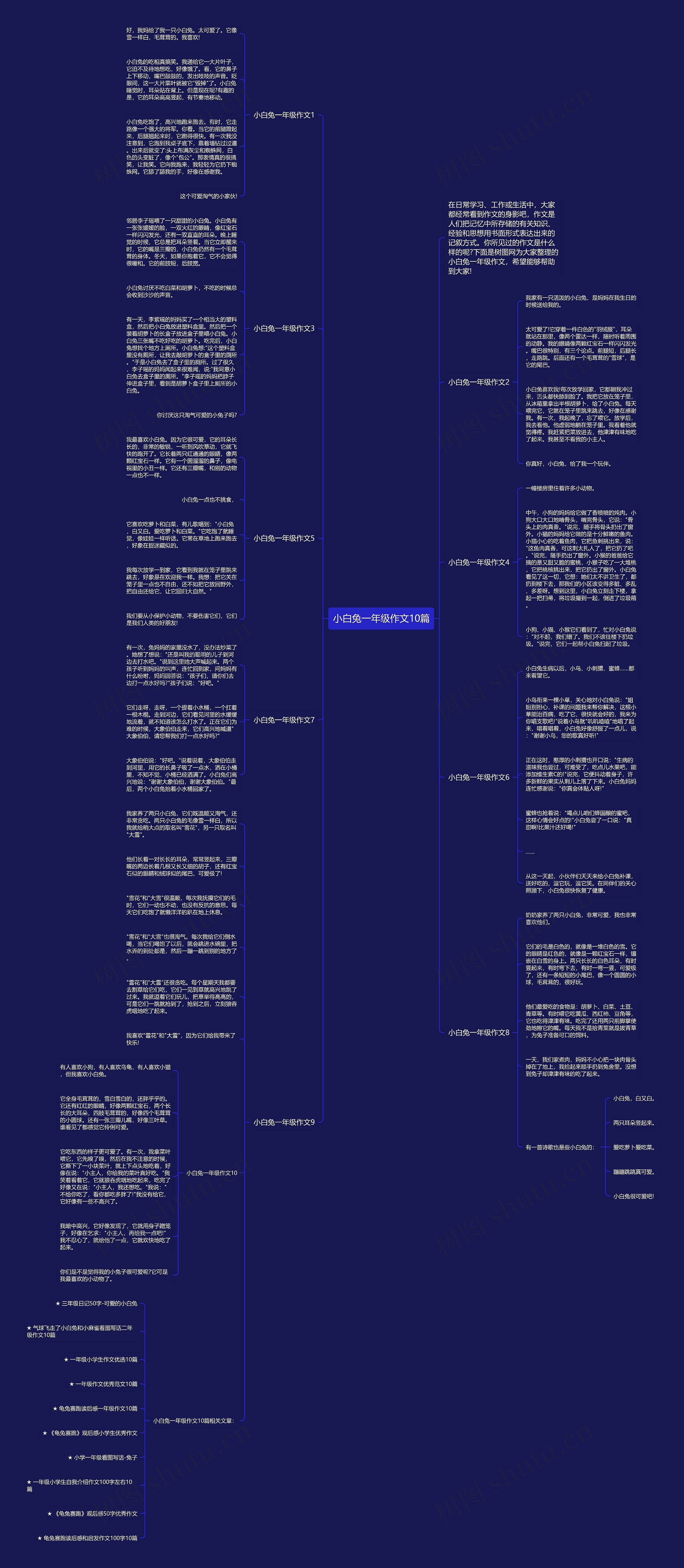 小白兔一年级作文10篇思维导图高清图 小白兔一年级作文10篇思维导图