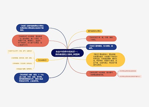 执业中药师中药知识一：清热燥湿药之黄柏