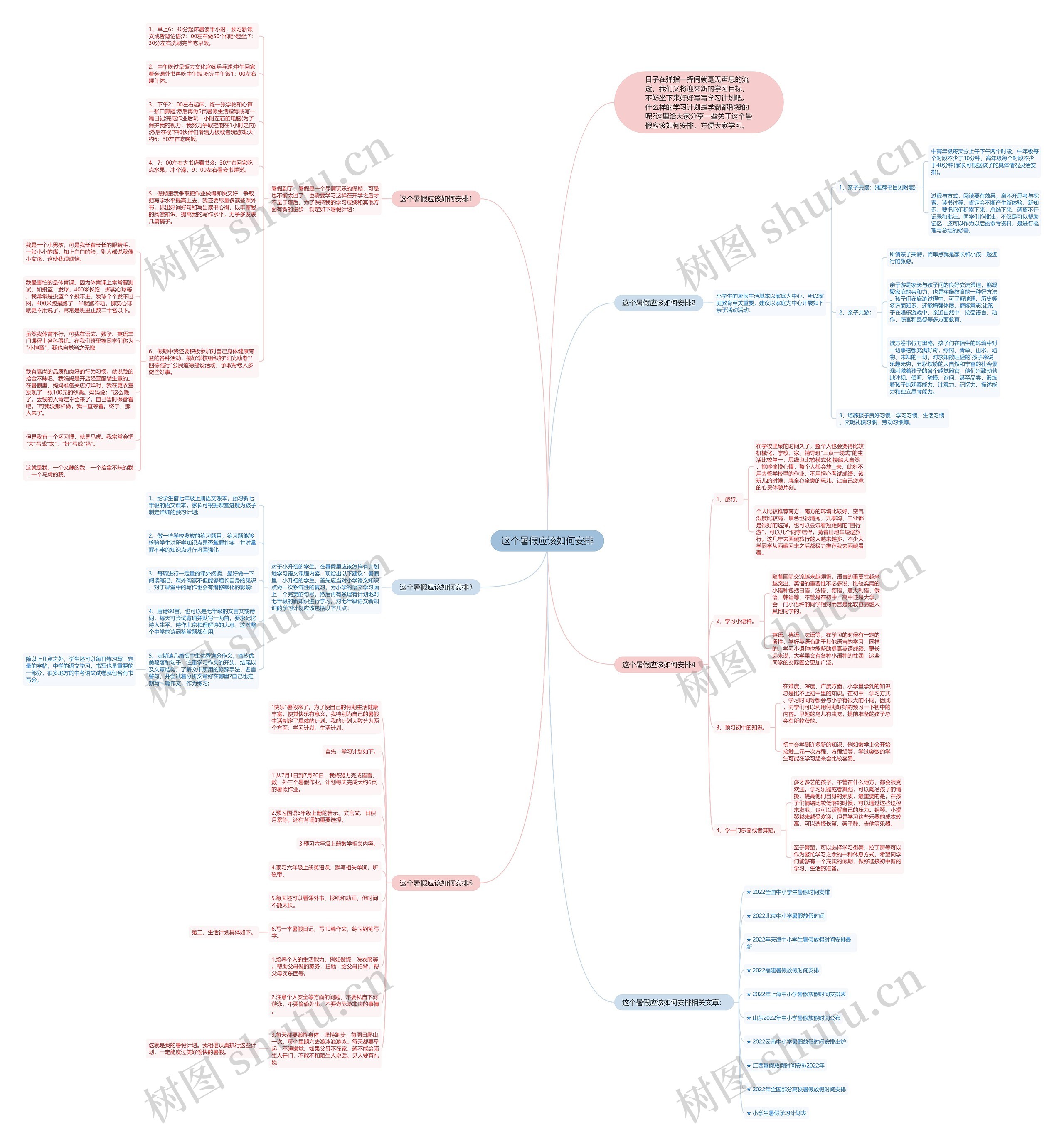 这个暑假应该如何安排思维导图