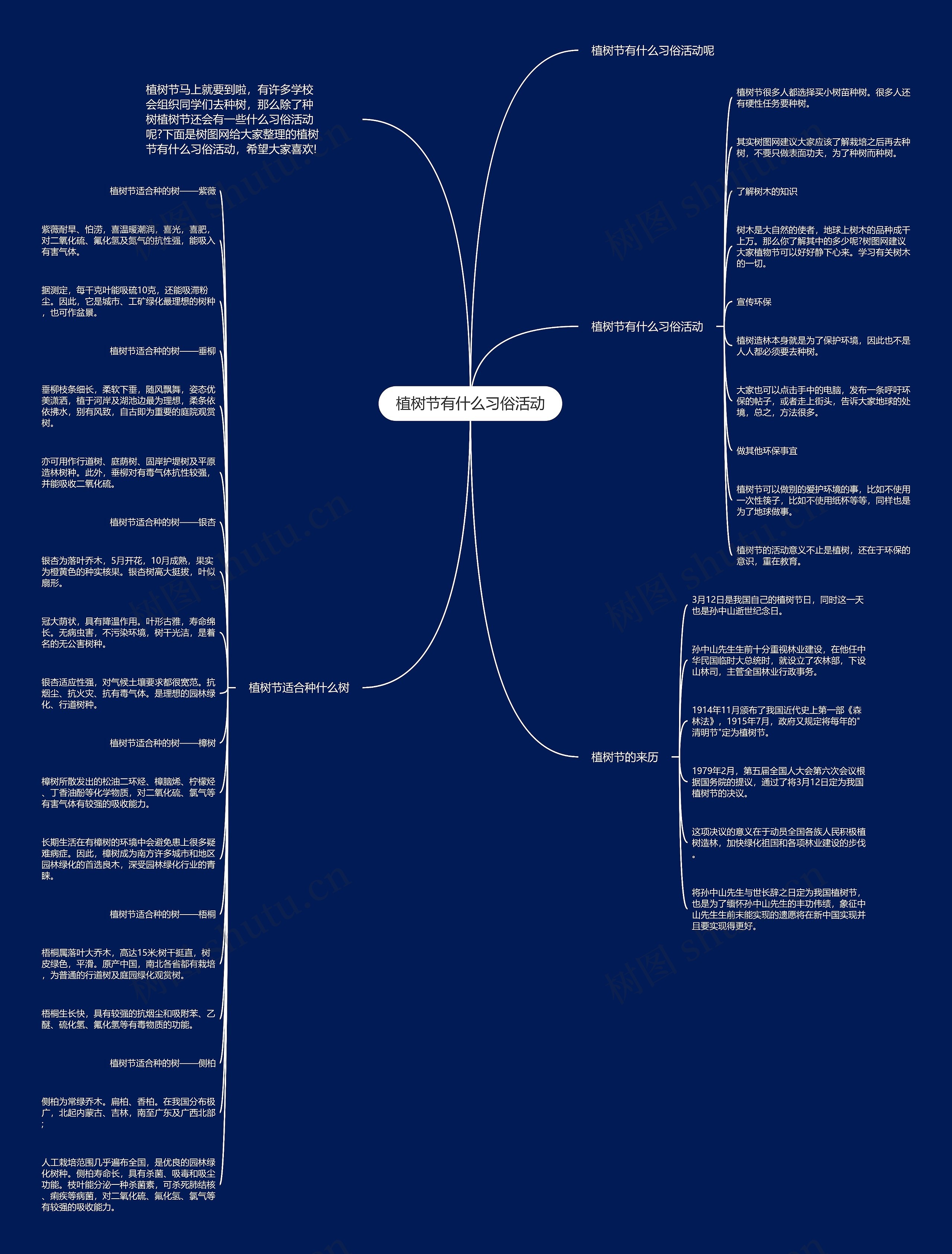 植树节有什么习俗活动思维导图