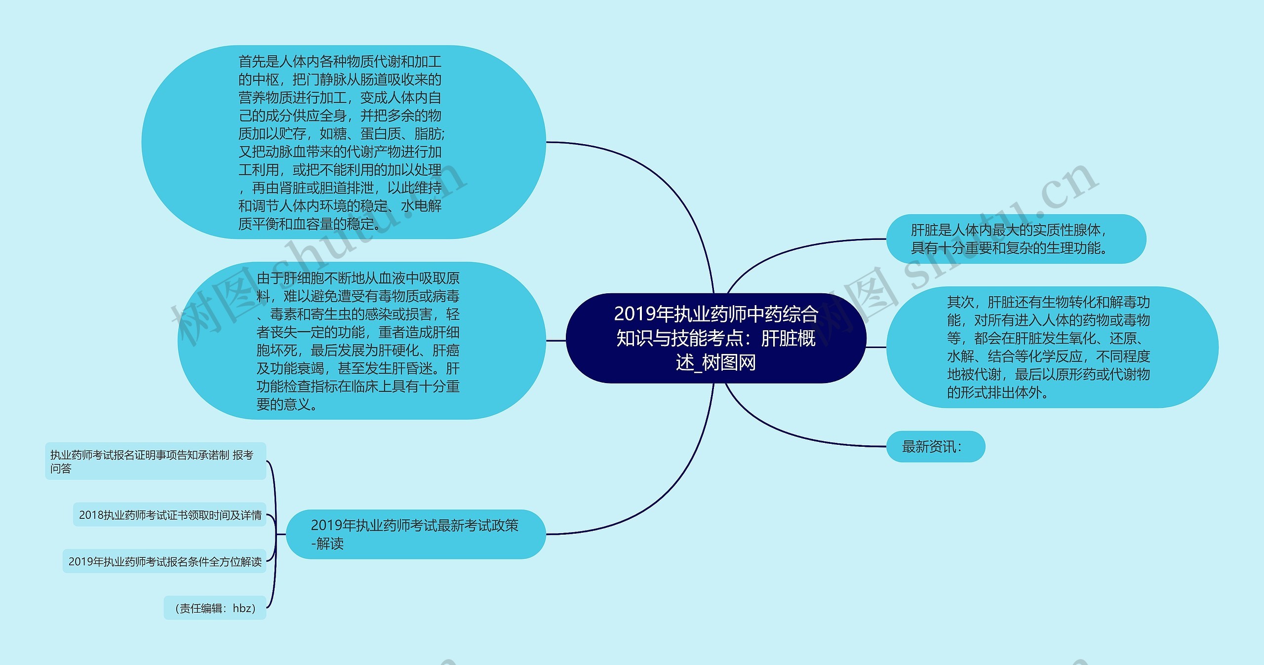 2019年执业药师中药综合知识与技能考点：肝脏概述