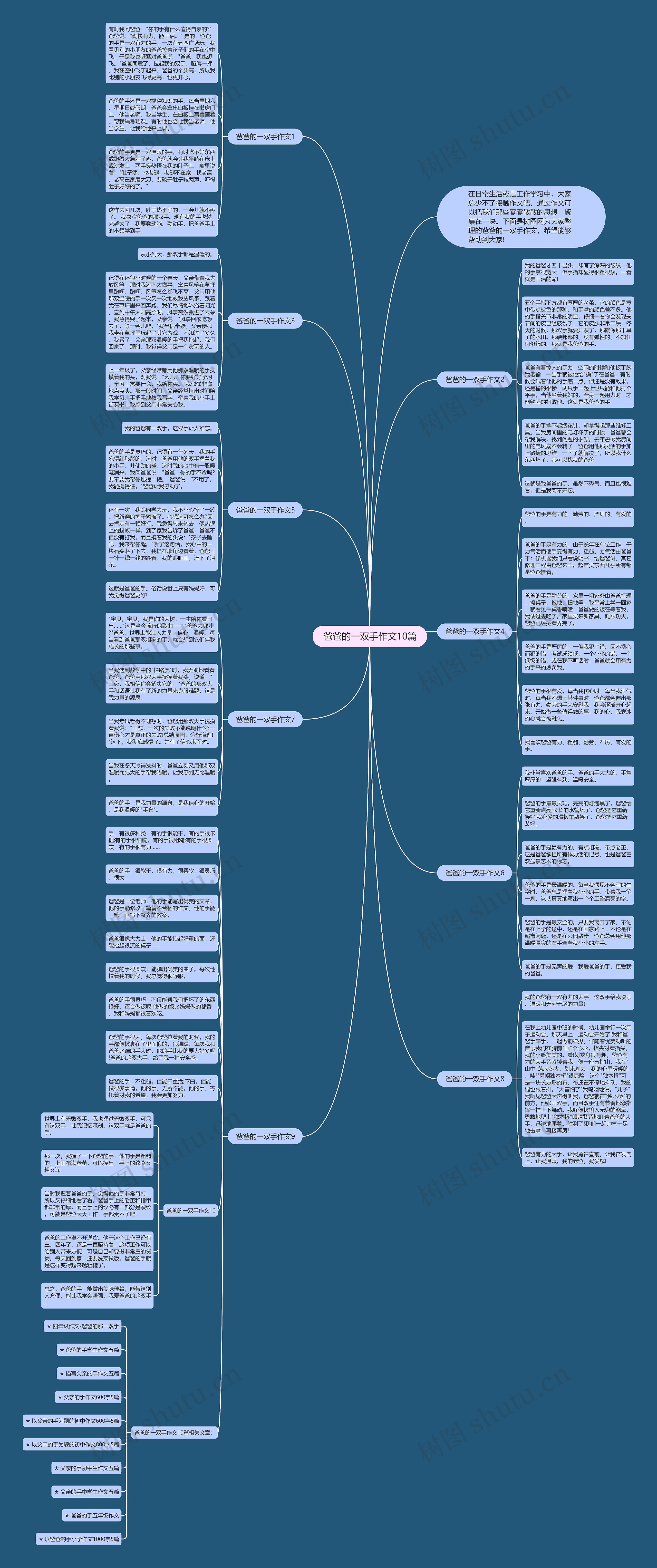 爸爸的一双手作文10篇思维导图