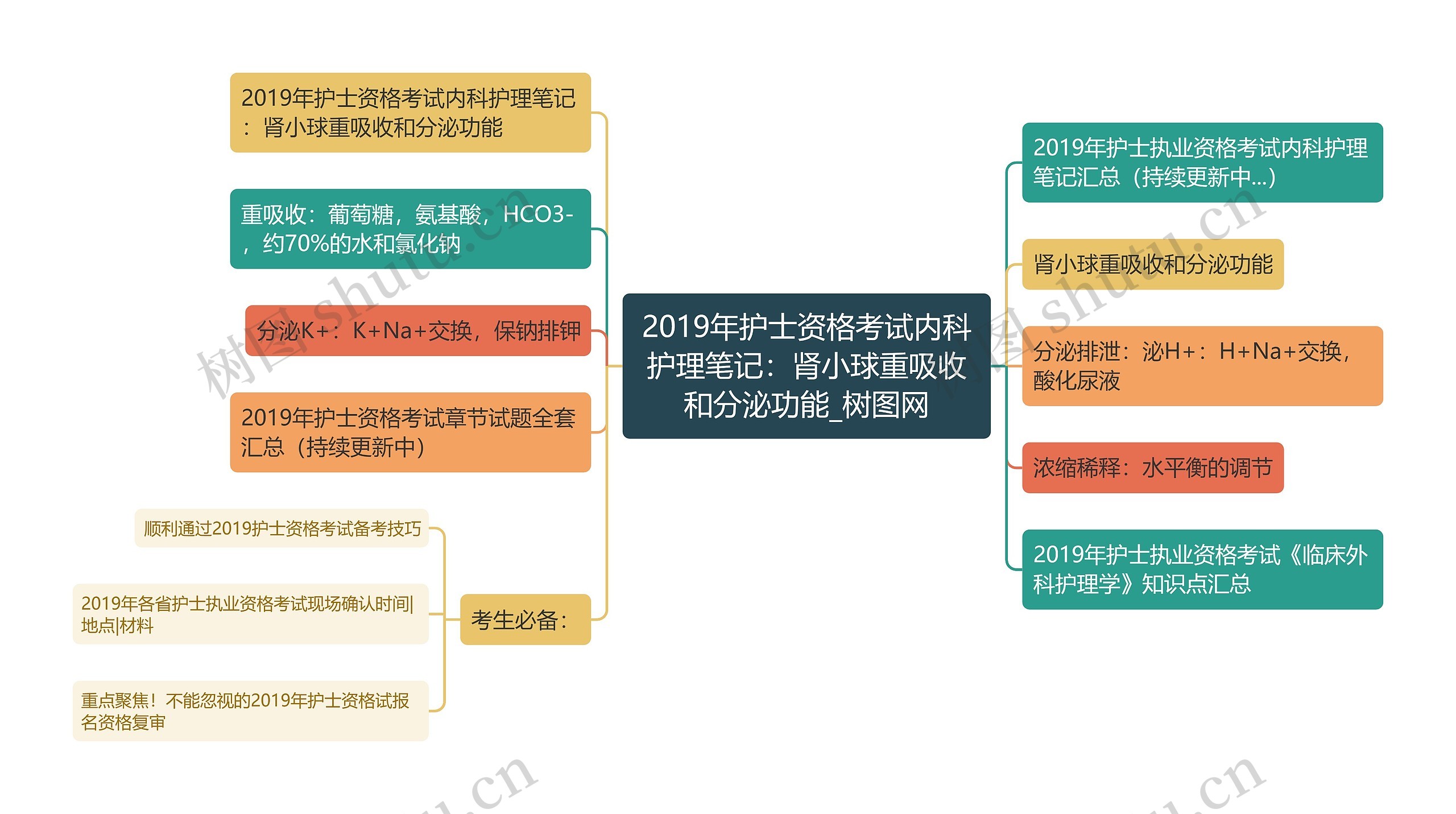2019年护士资格考试内科护理笔记：肾小球重吸收和分泌功能