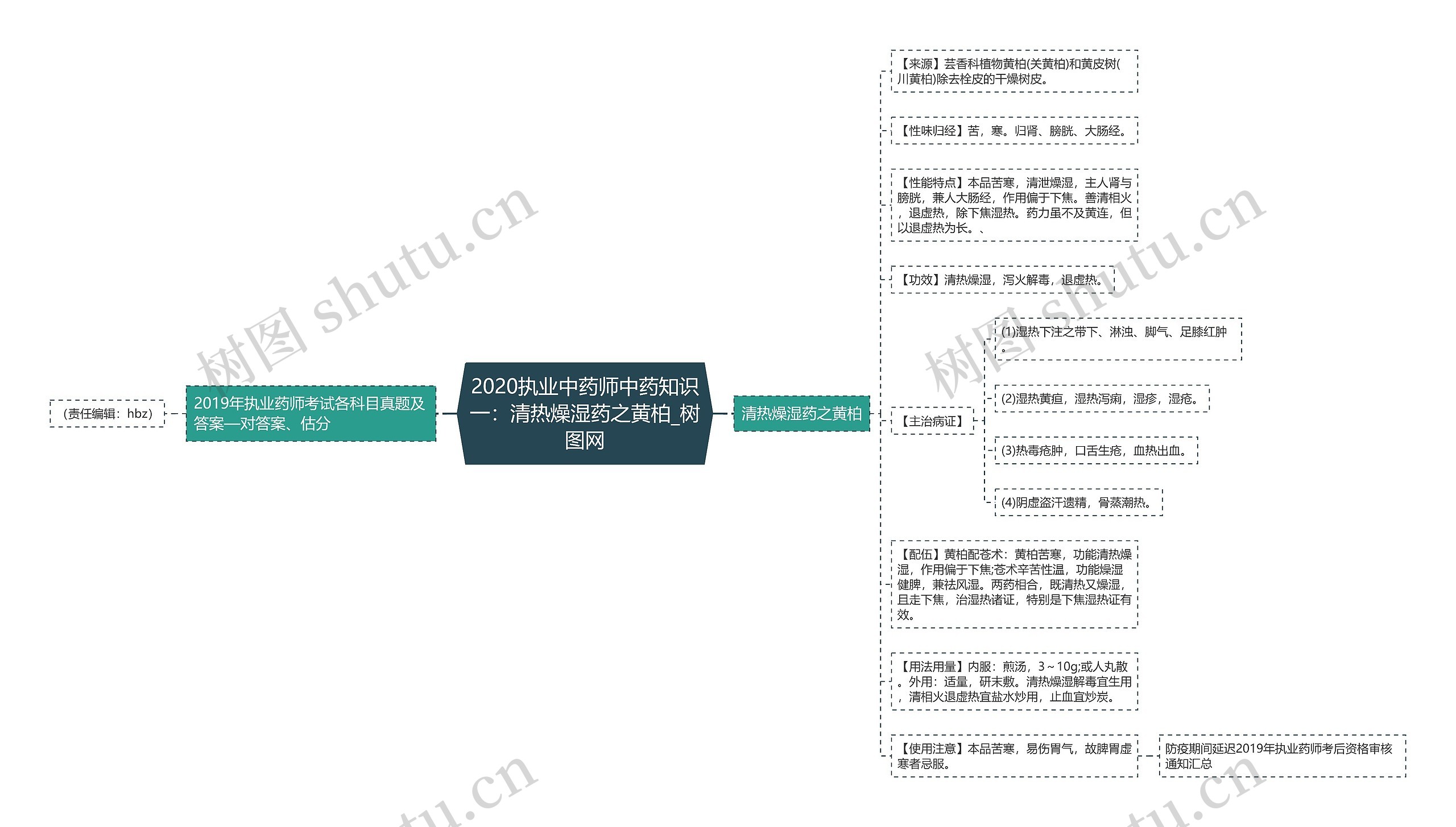 2020执业中药师中药知识一：清热燥湿药之黄柏