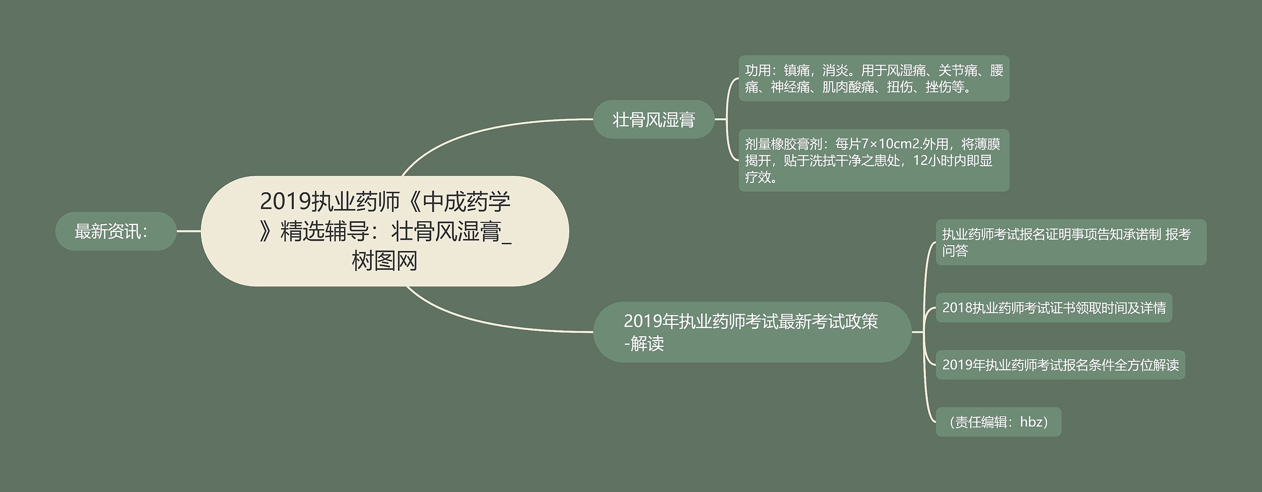 2019执业药师《中成药学》精选辅导：​壮骨风湿膏思维导图