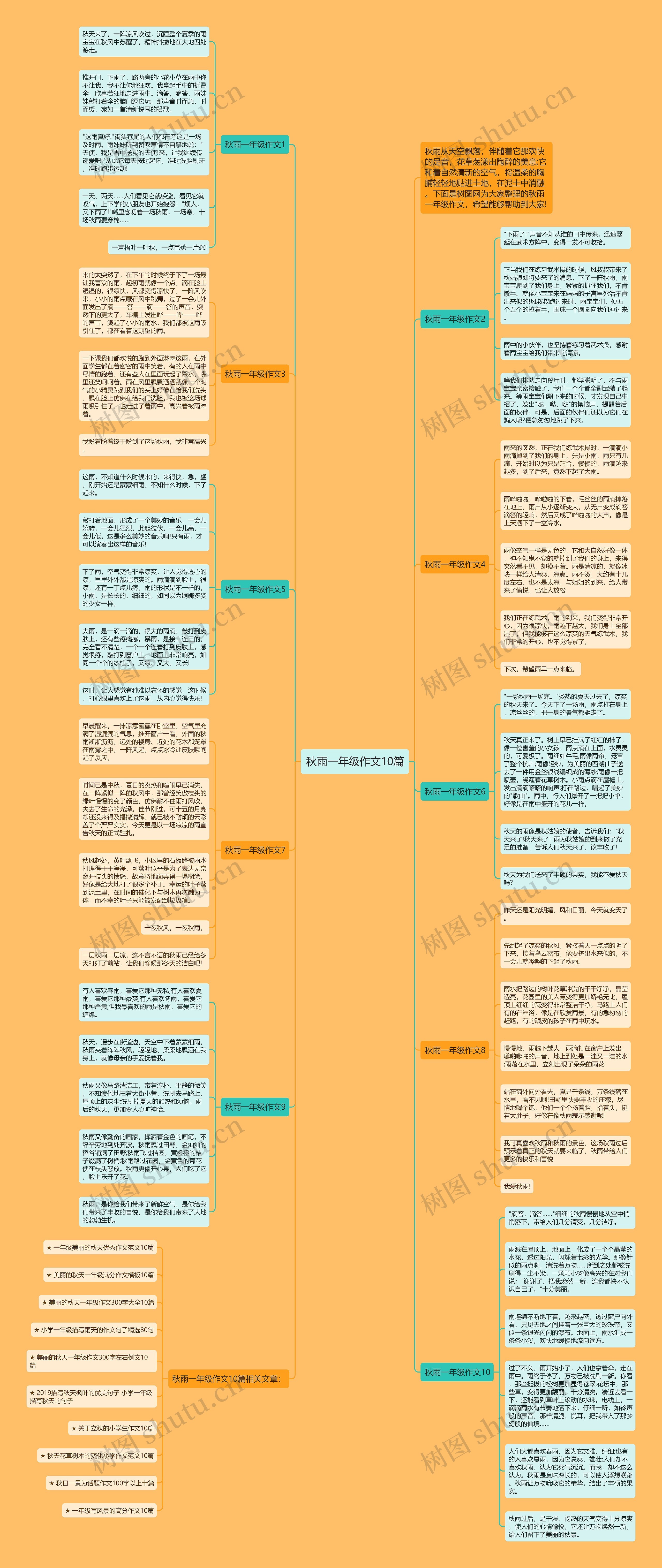 秋雨一年级作文10篇思维导图