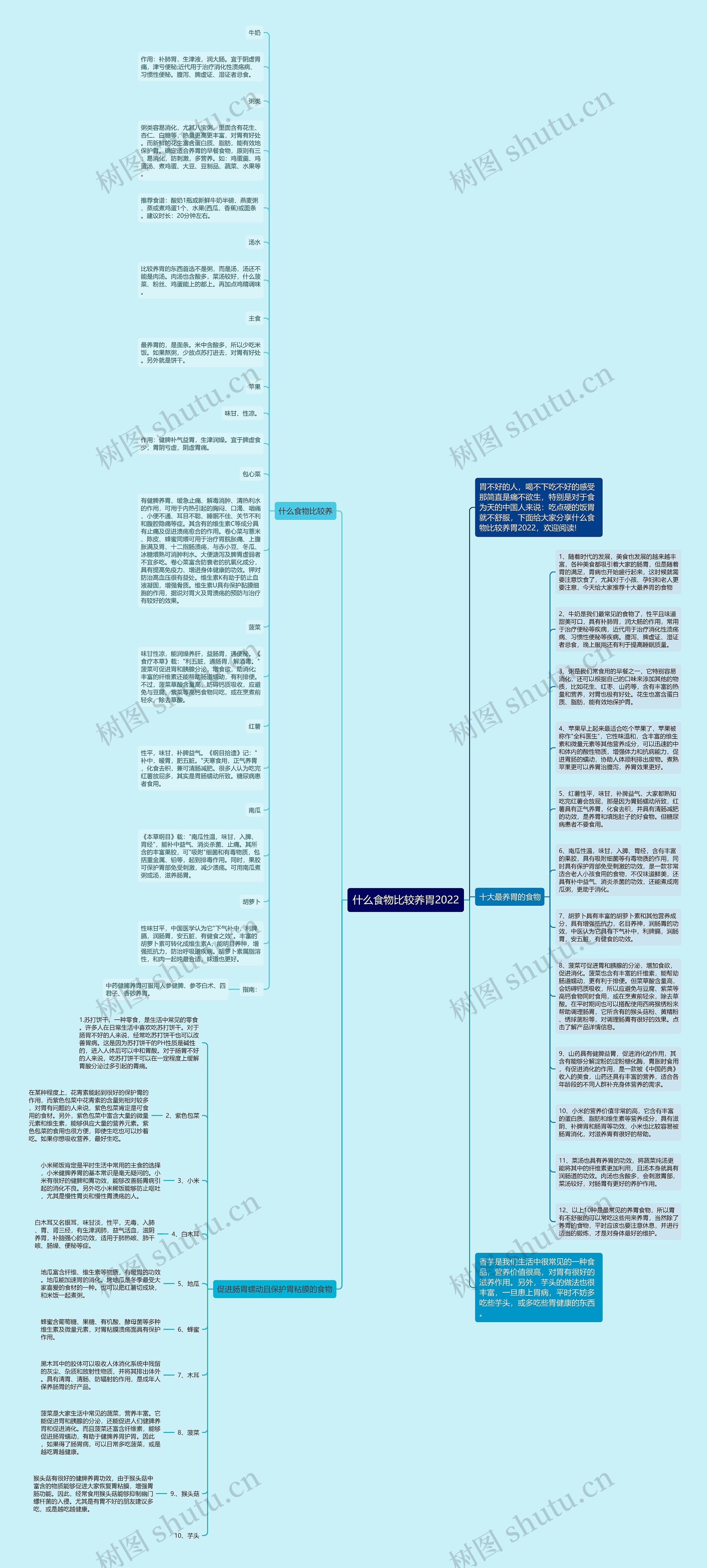 什么食物比较养胃2022思维导图